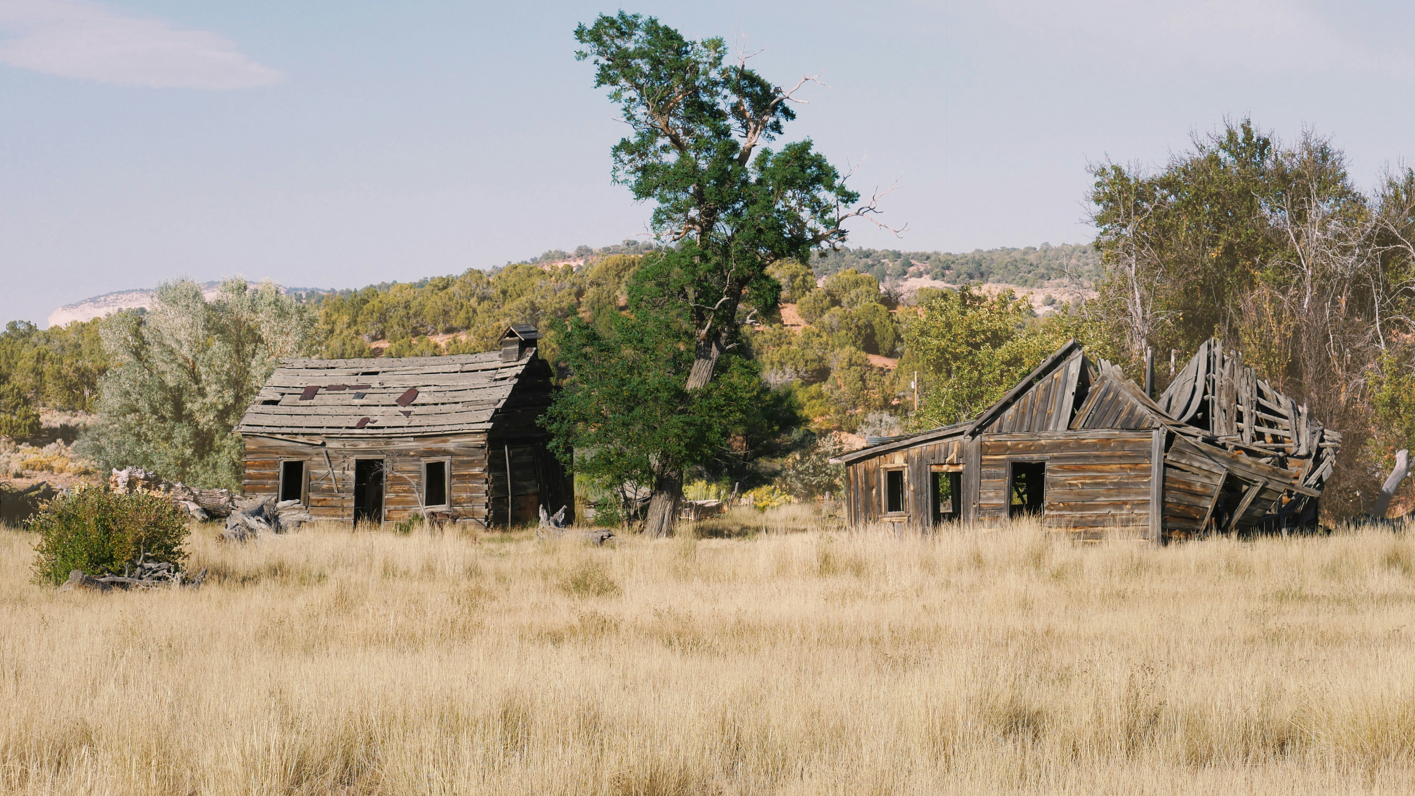 Photo by kikifalconer