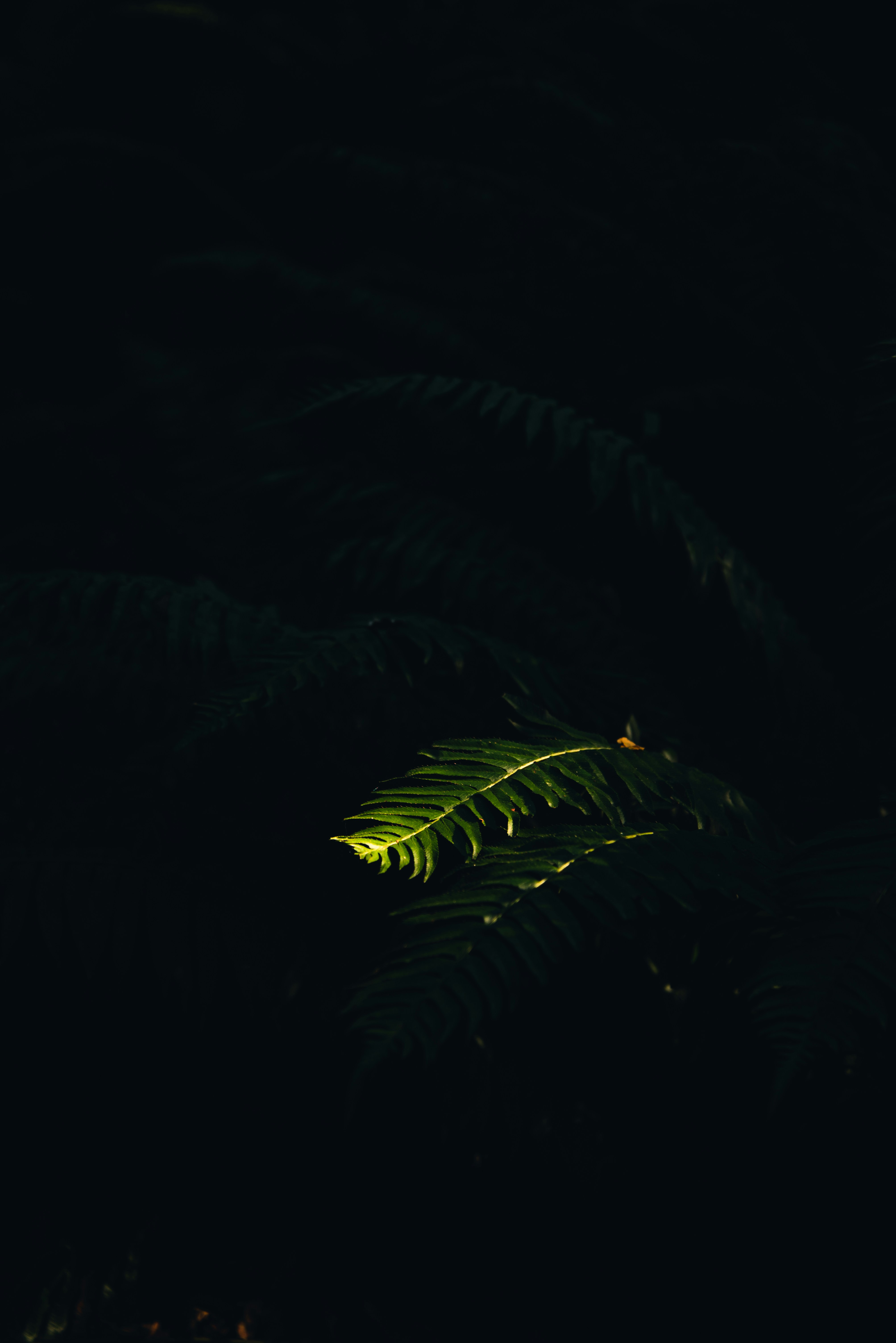 Photo by ryunosuke_kikuno