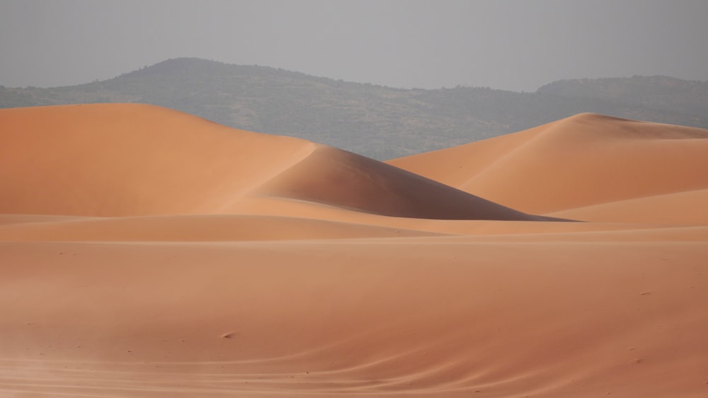 desert under blue sky during daytime