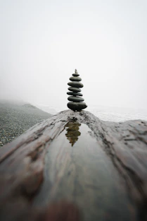 black and white stone on gray sand