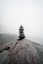 stack of stones on a foggy weather
