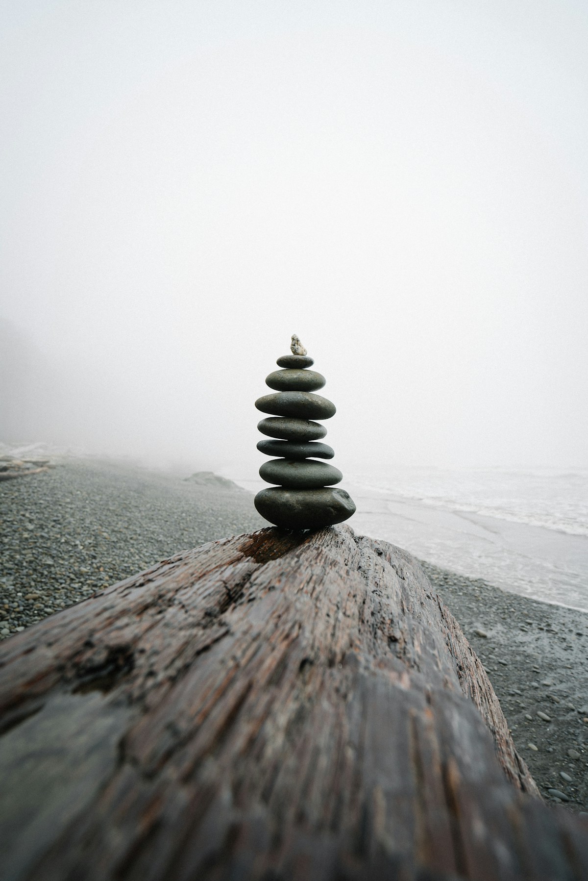 Introduction to Mindfulness image background image