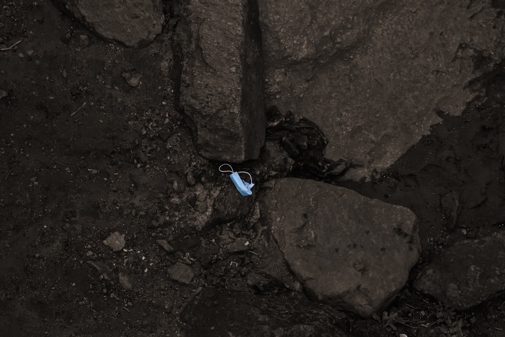 blue and white plastic toy on brown rock