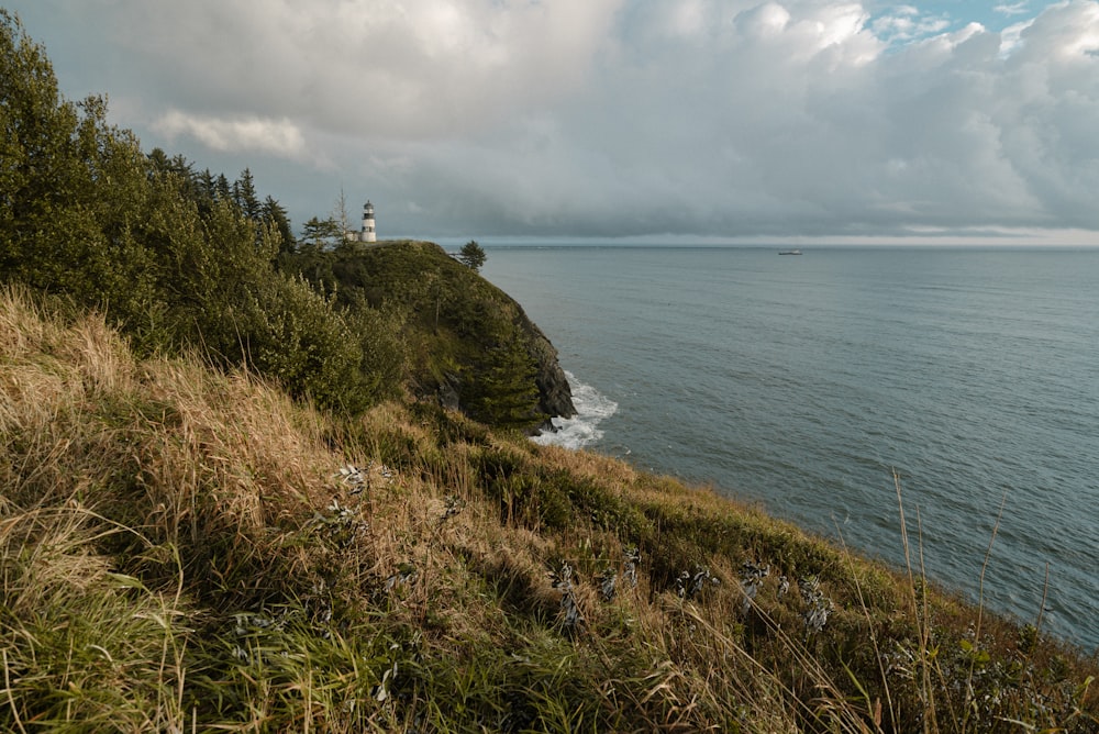 green grass field near body of water under cloudy sky during daytime