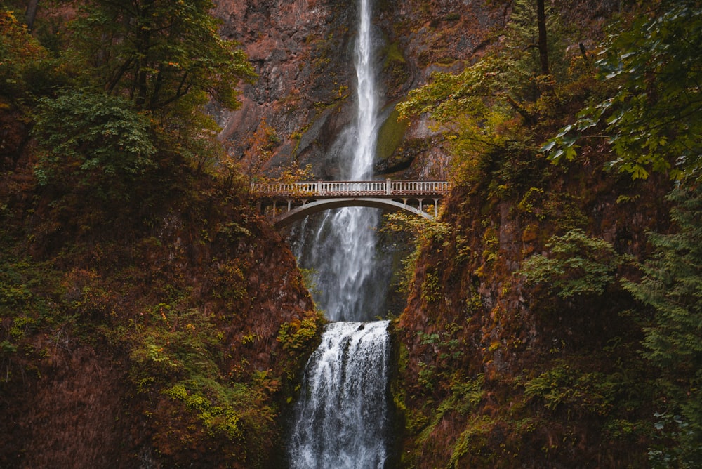 Puente blanco sobre cascadas durante el día