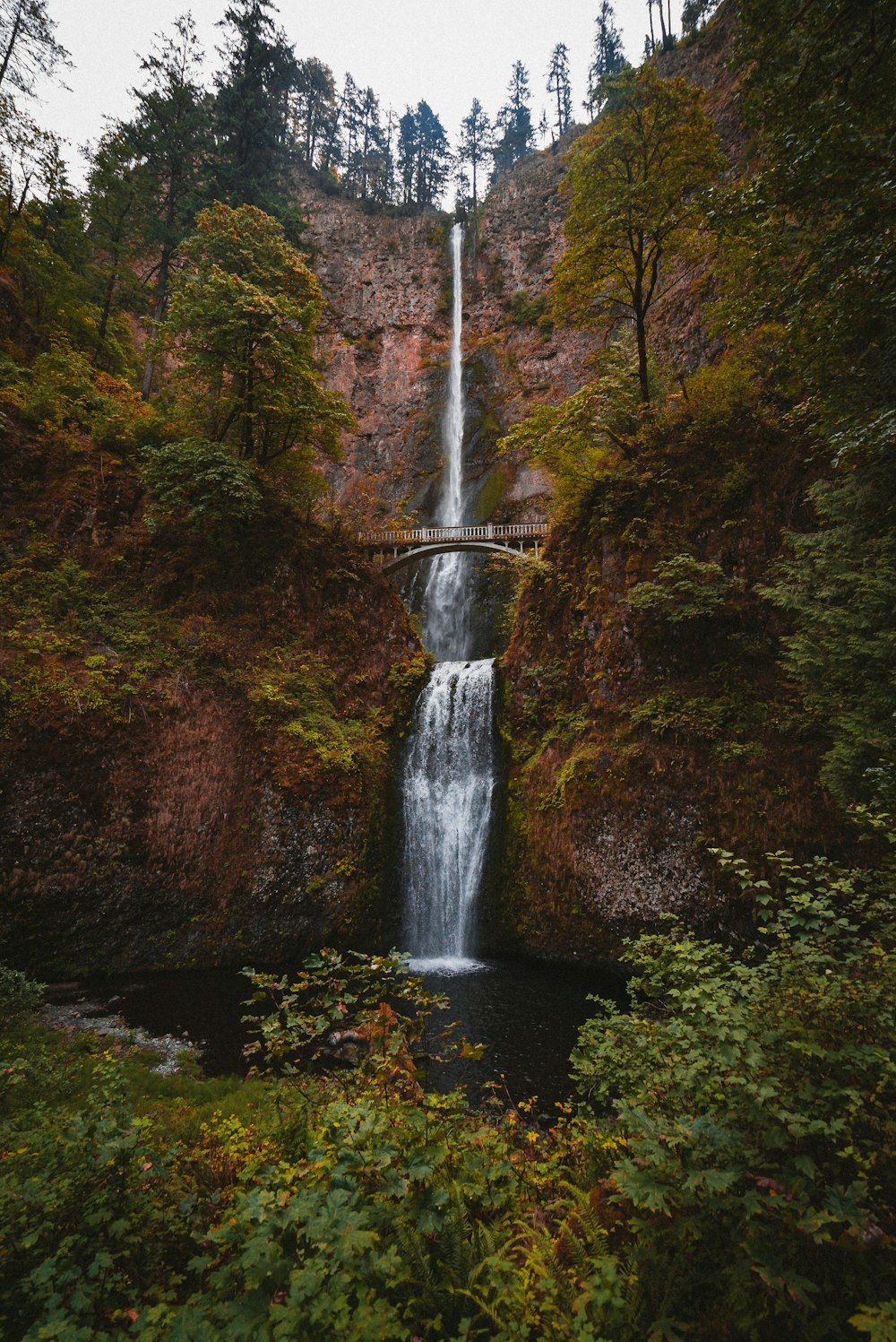 waterfalls in the middle of the forest