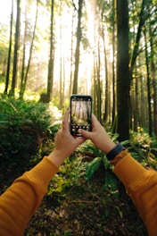 person holding black smartphone taking photo of green trees during daytime