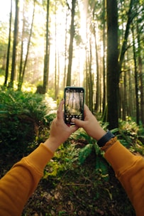 person holding black smartphone taking photo of green trees during daytime