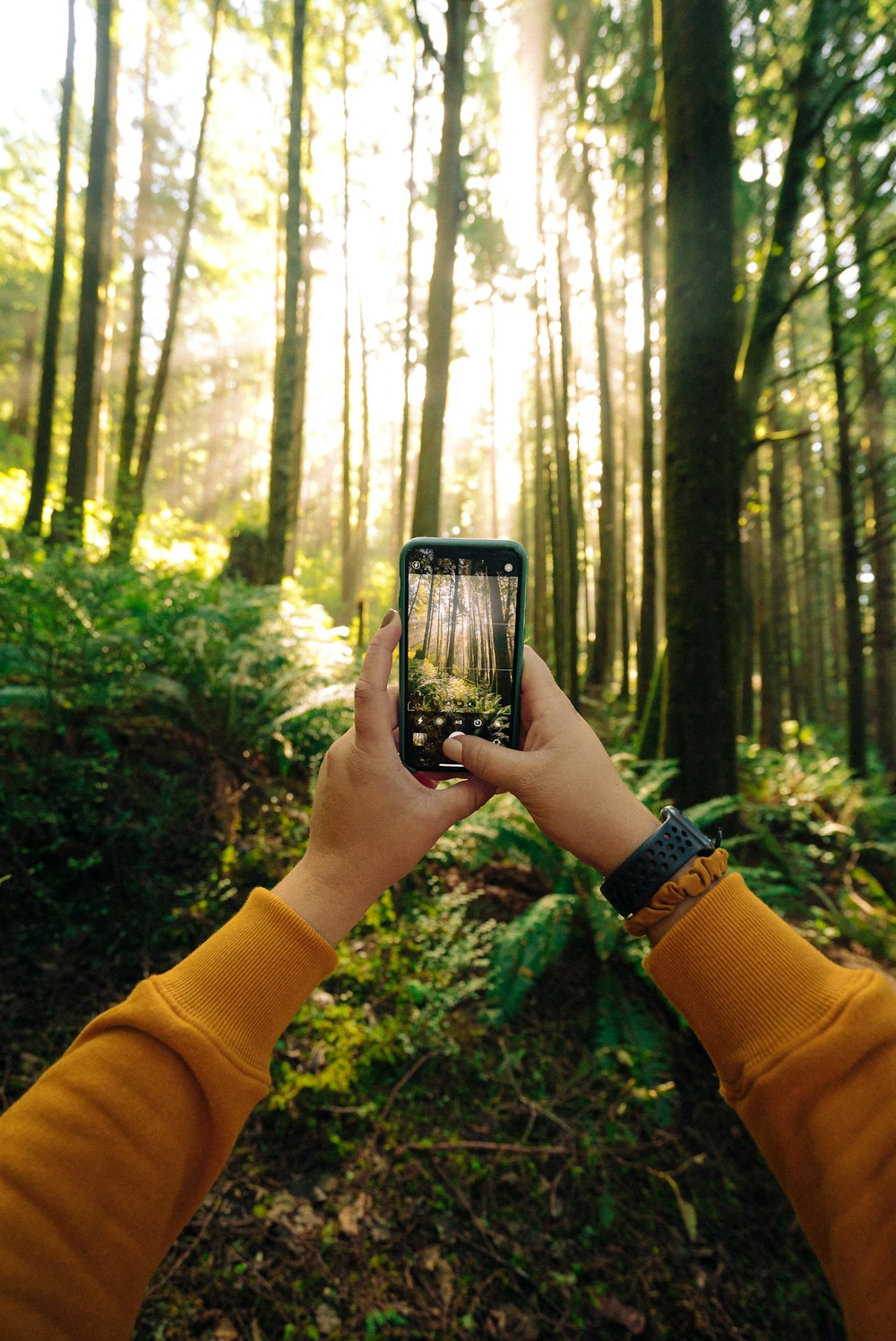 Person mit schwarzem Smartphone, die tagsüber grüne Bäume fotografiert