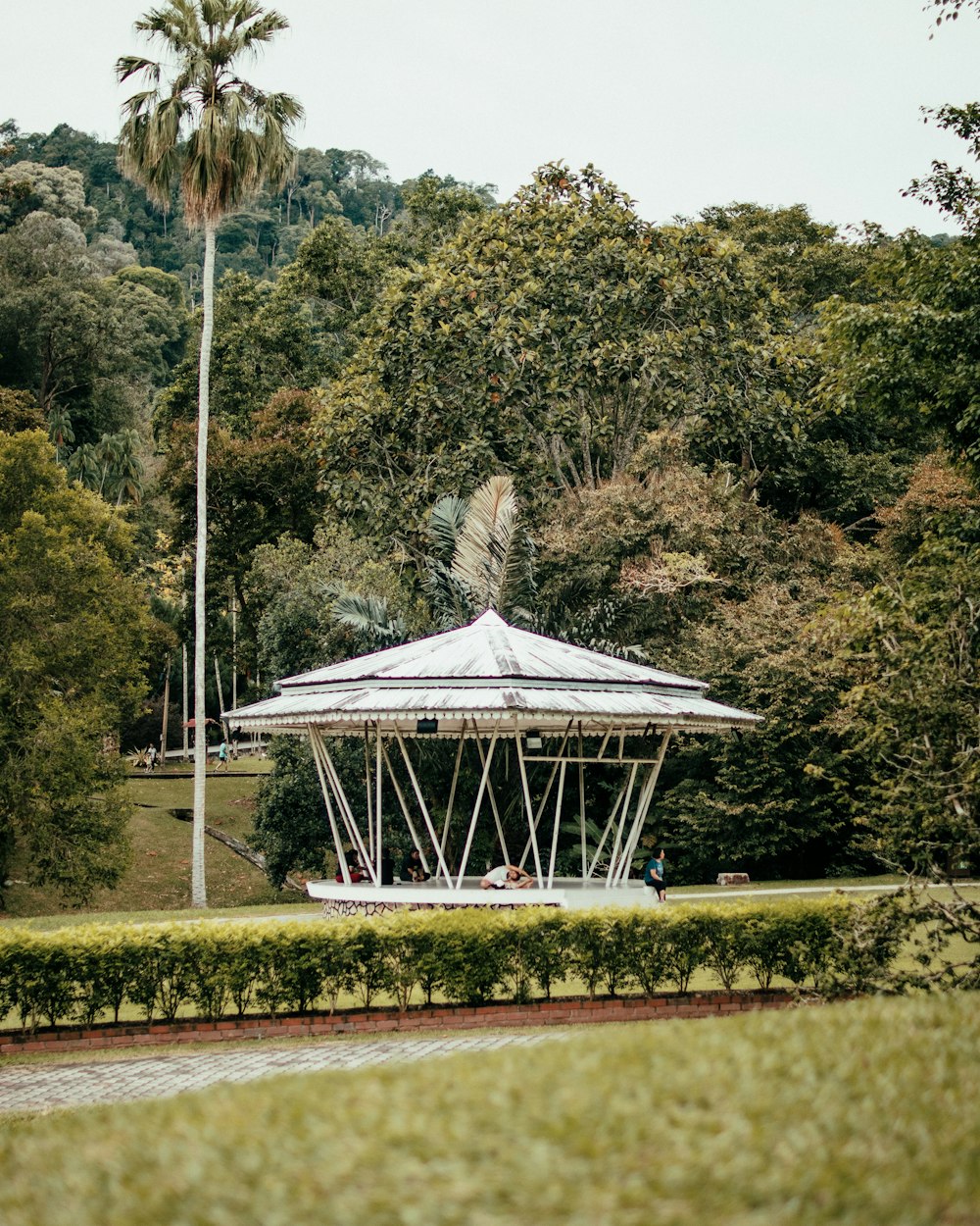 white and gray gazebo surrounded by green trees during daytime