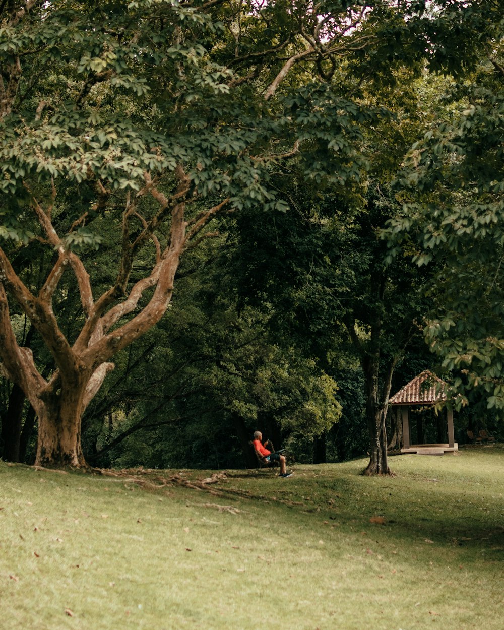 man in black jacket and black pants sitting on green grass field near green trees during