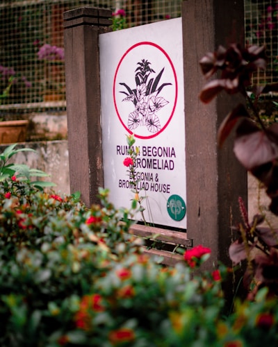 A garden sign is prominently displayed with text indicating 'RUMAH BEGONIA BROMELIAD' and 'BEGONIA & BROMELIAD HOUSE'. The sign has a circular graphic of flowers. It is surrounded by lush greenery and vibrant red flowers.