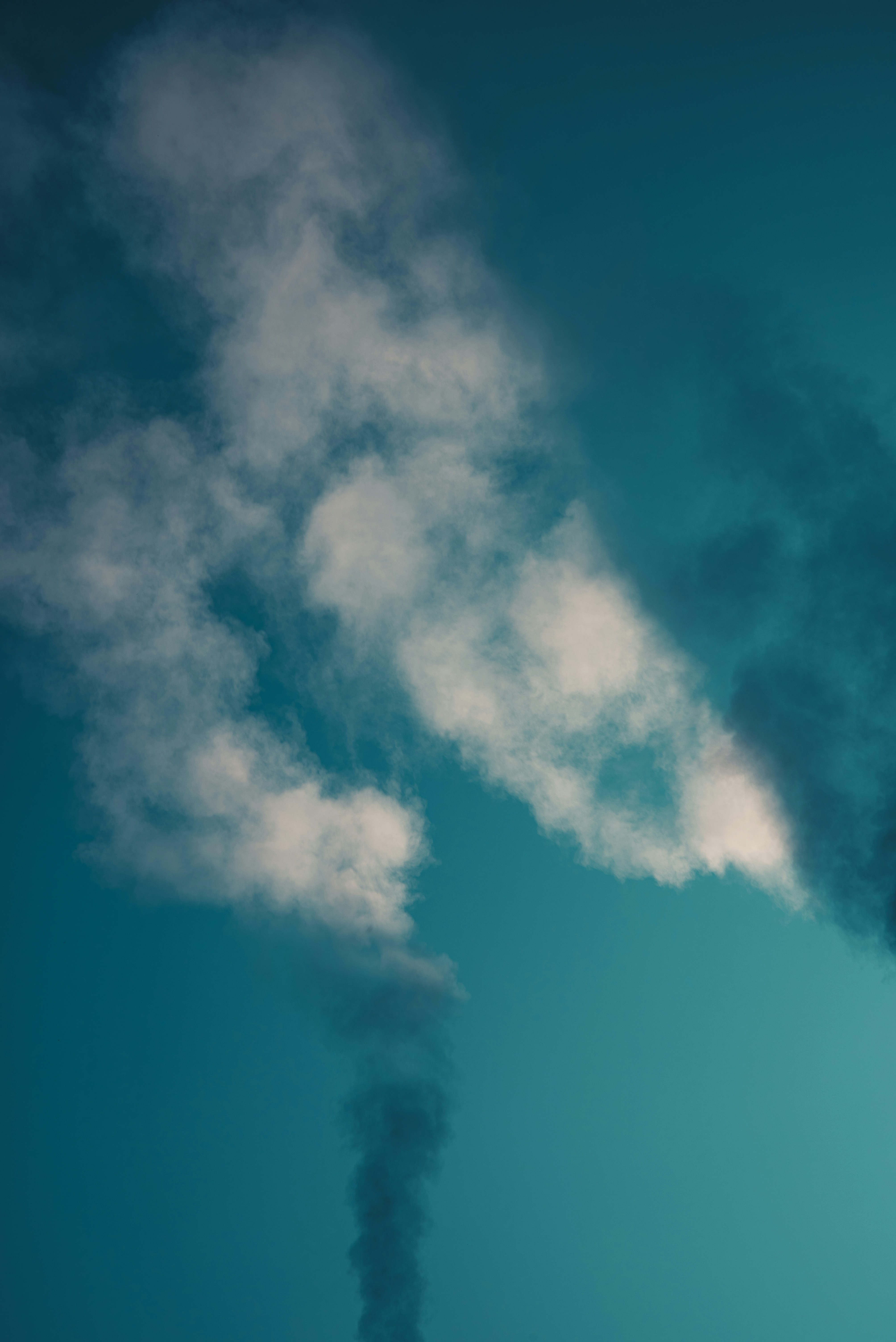 Photo by ryunosuke_kikuno