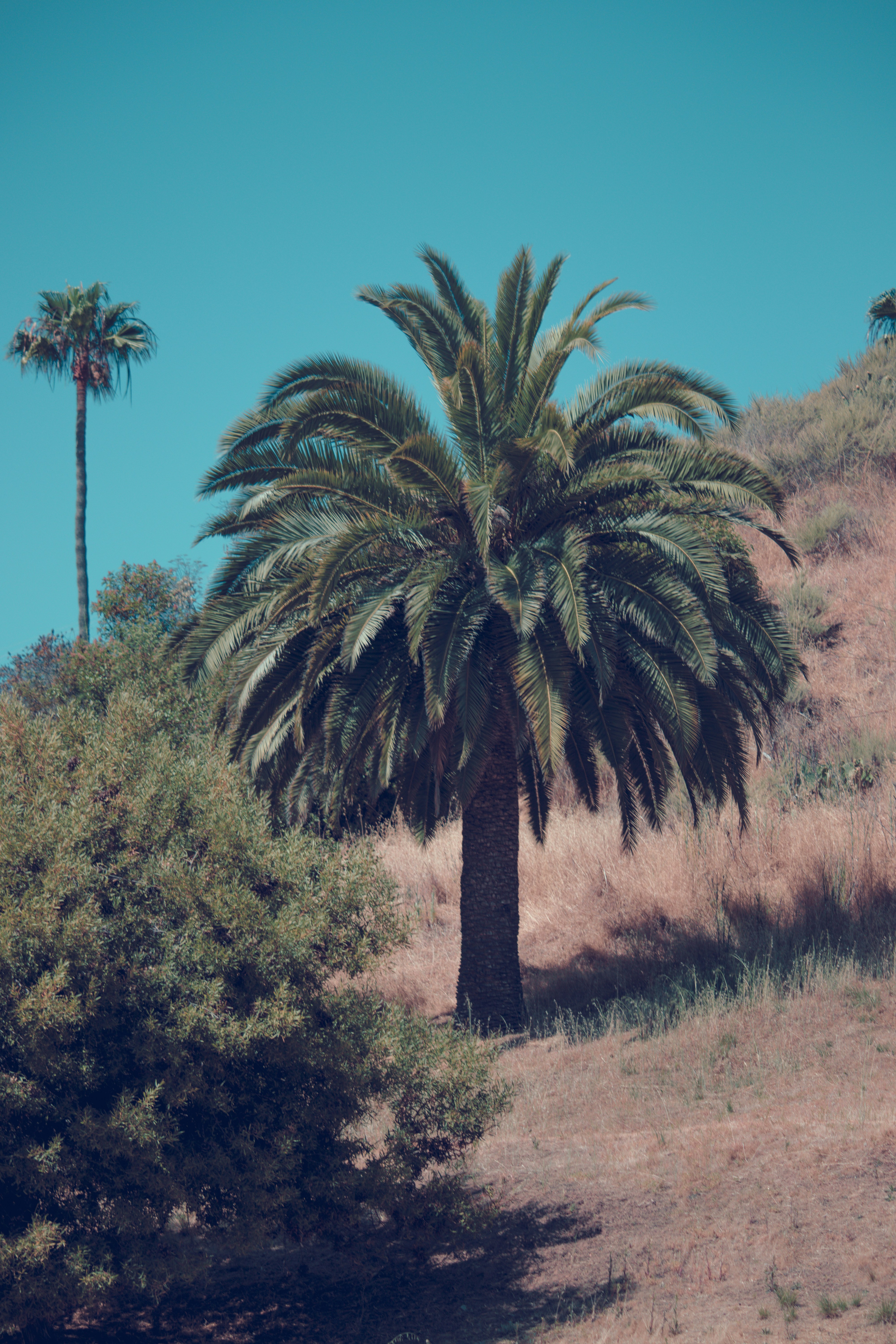 Photo by anthonymucci