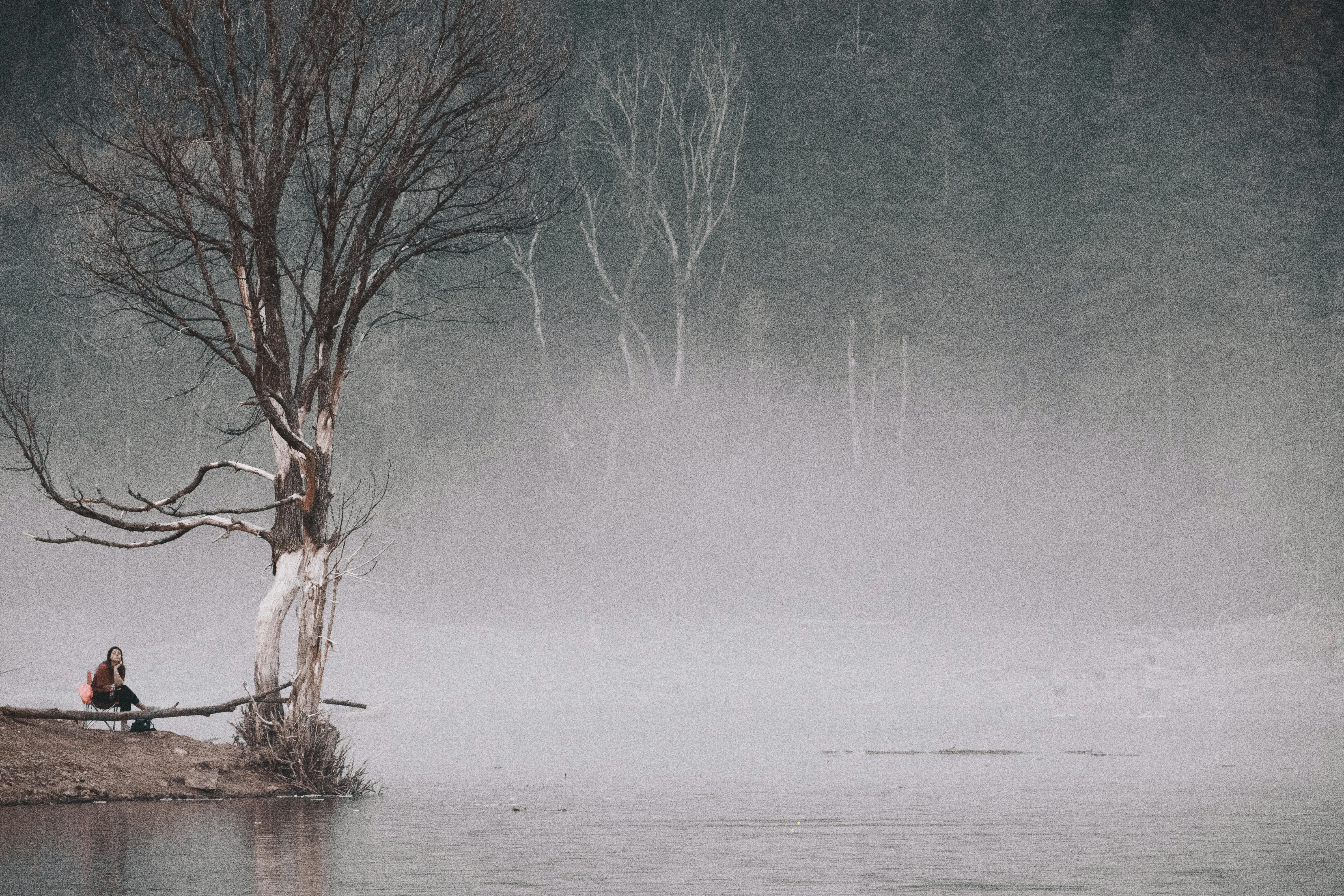 Photo by anthonymucci