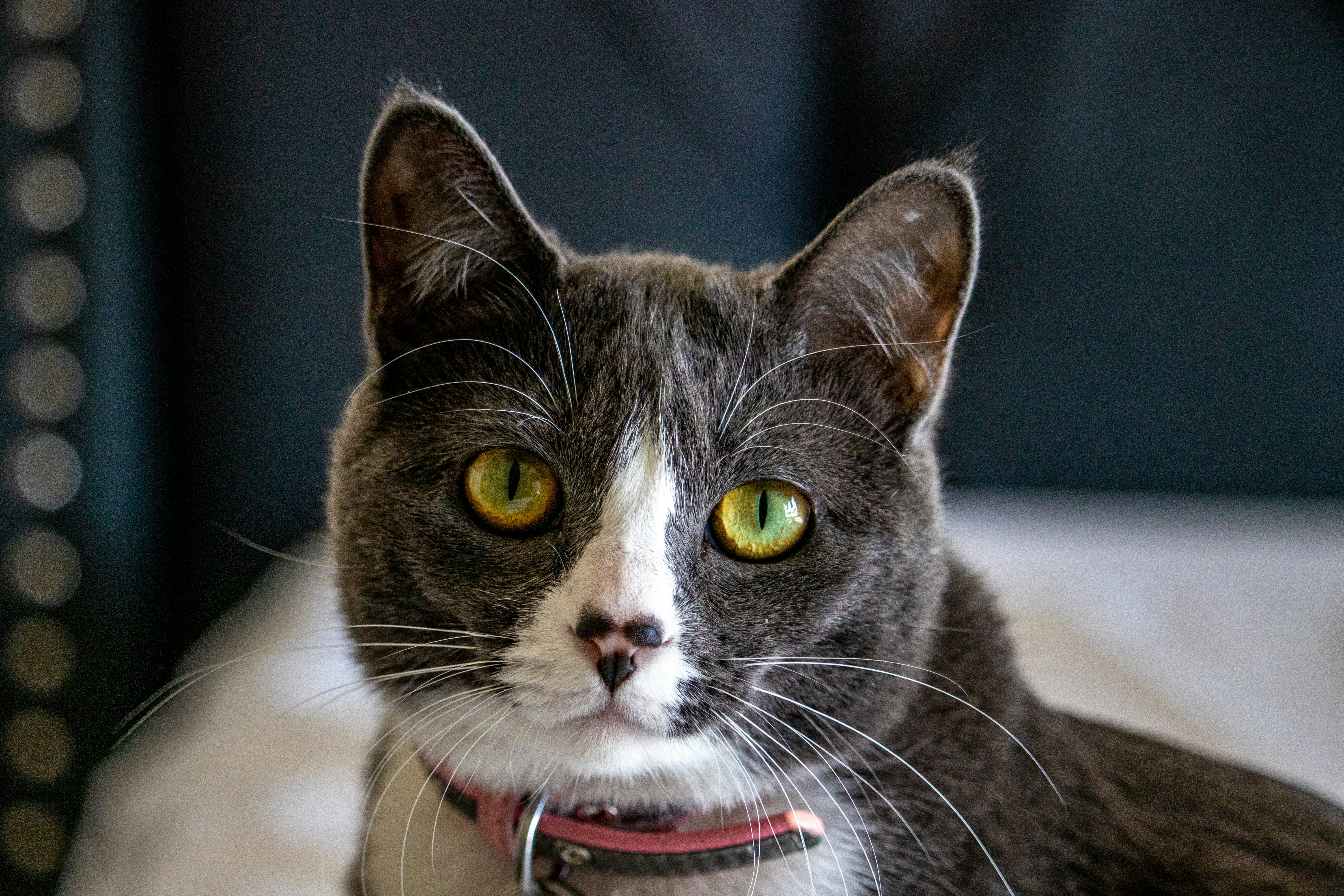 Photo by anthonymucci