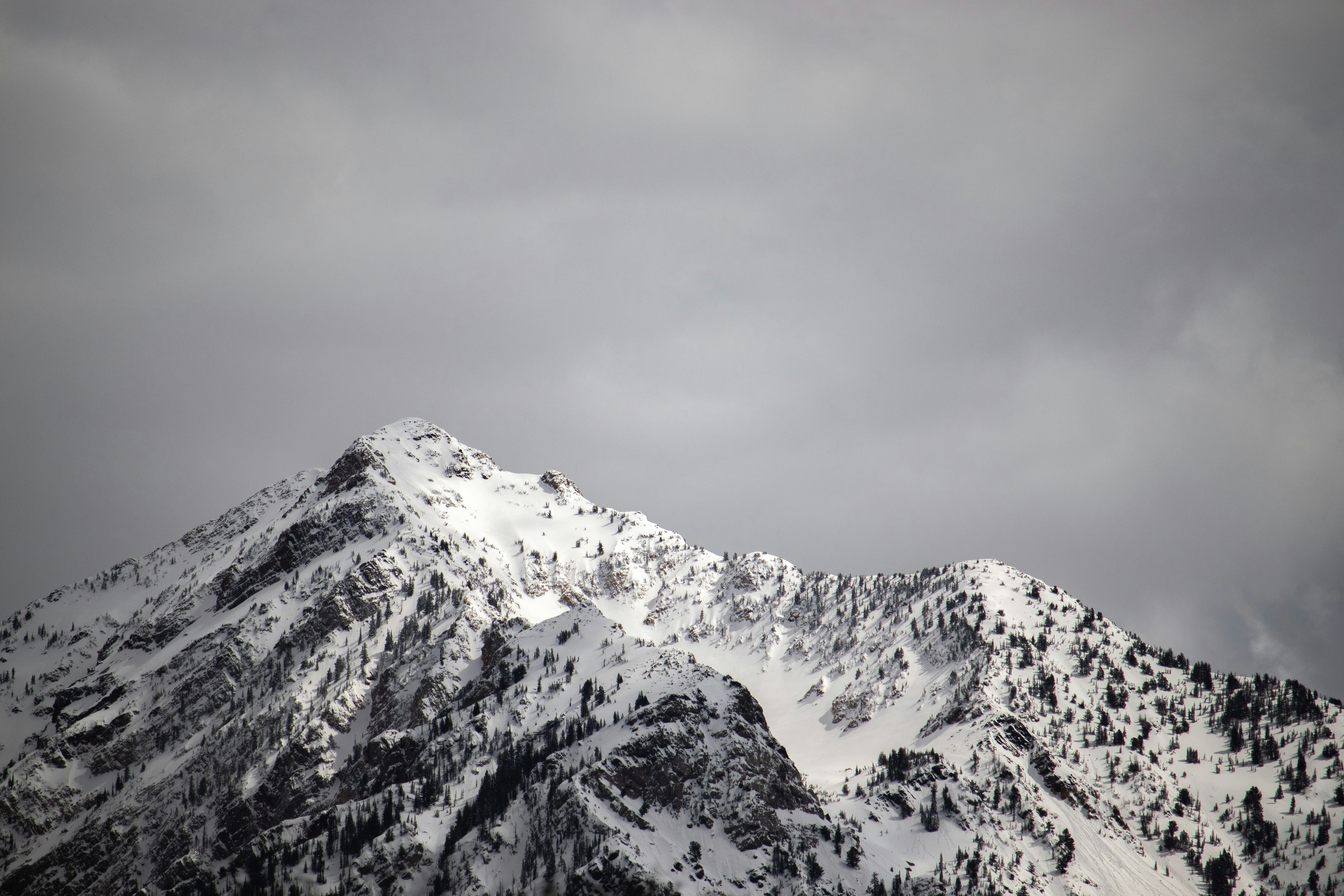 Photo by anthonymucci