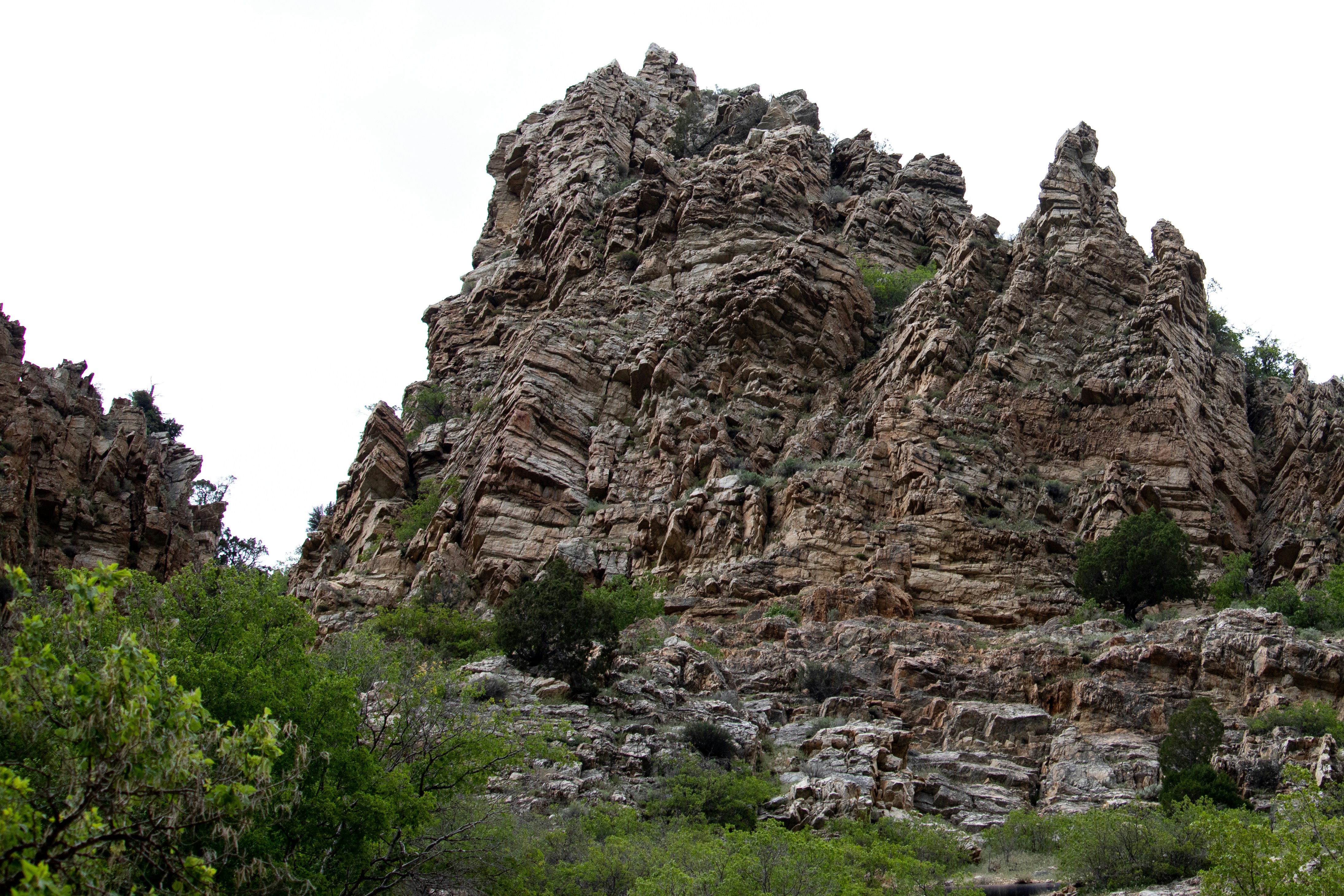 Photo by anthonymucci