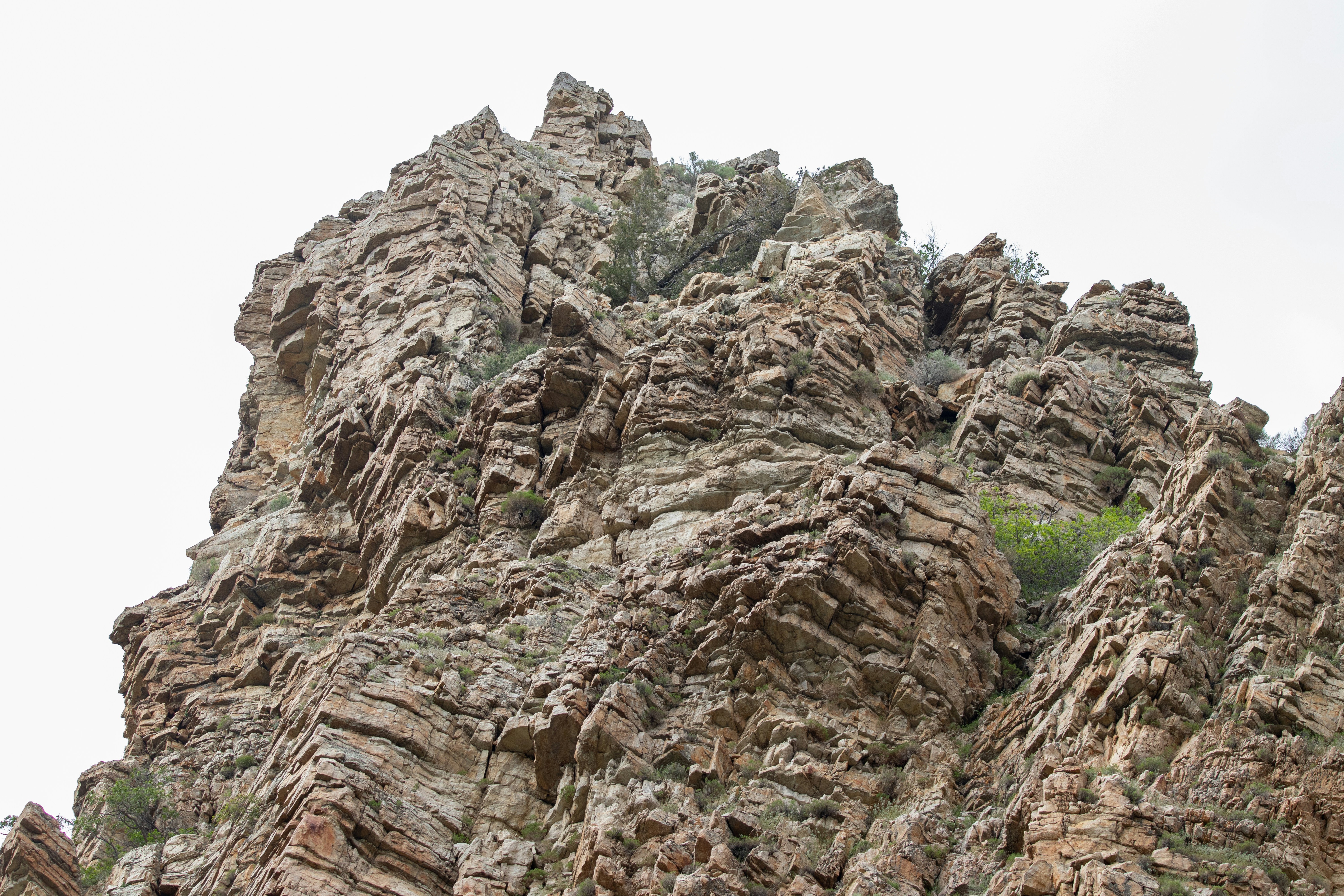 Photo by anthonymucci