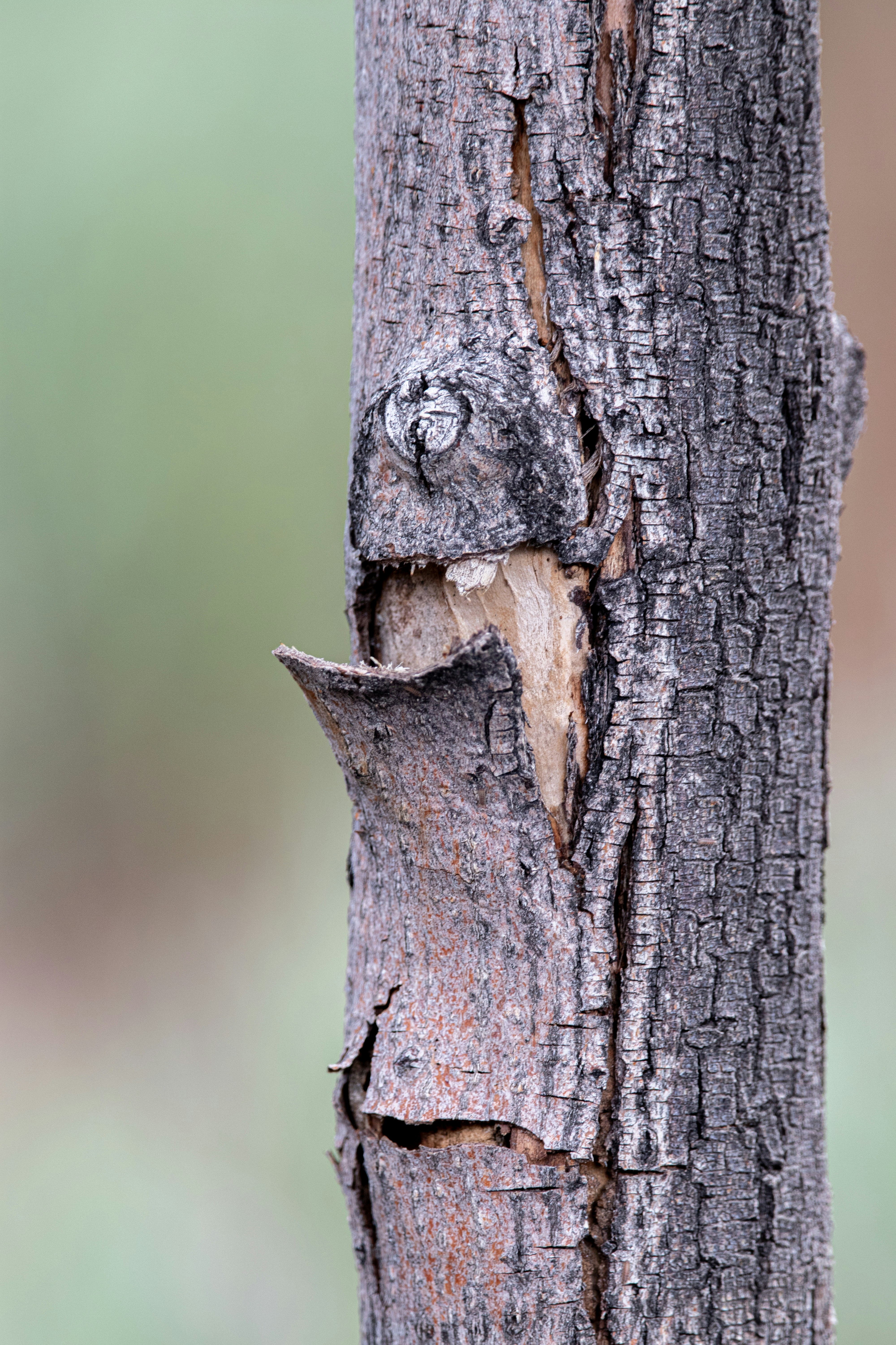 Photo by anthonymucci