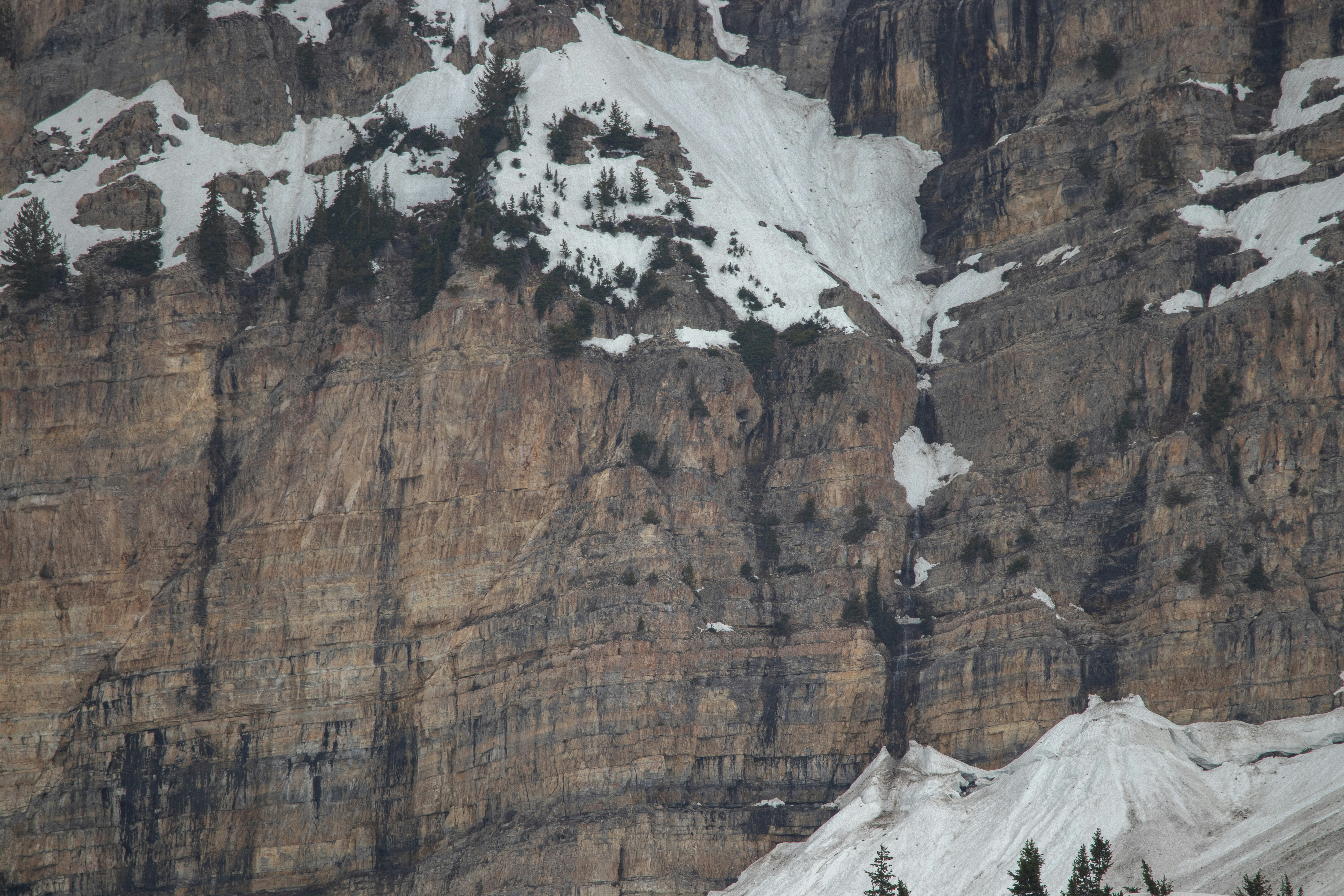 Photo by anthonymucci