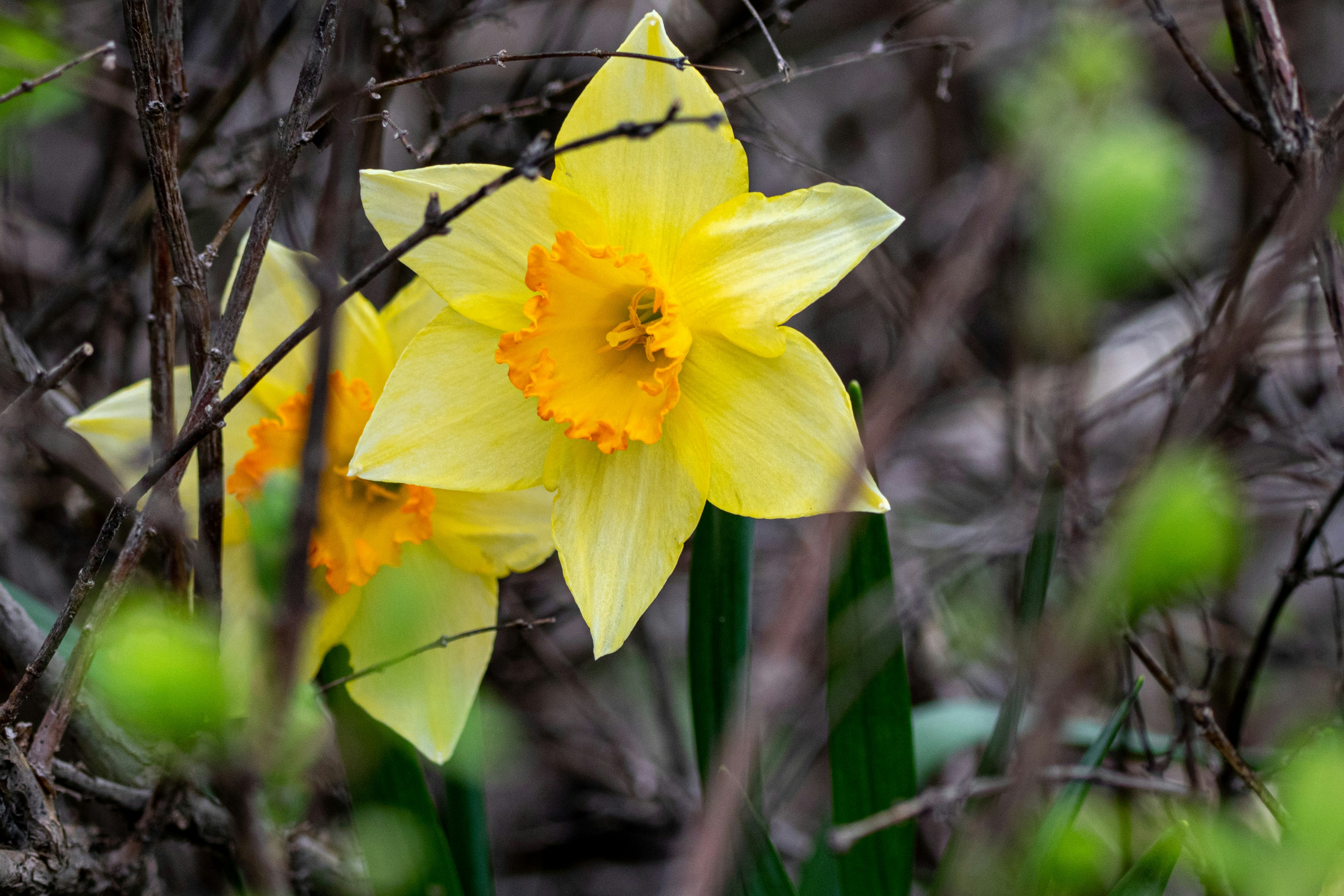 Photo by anthonymucci