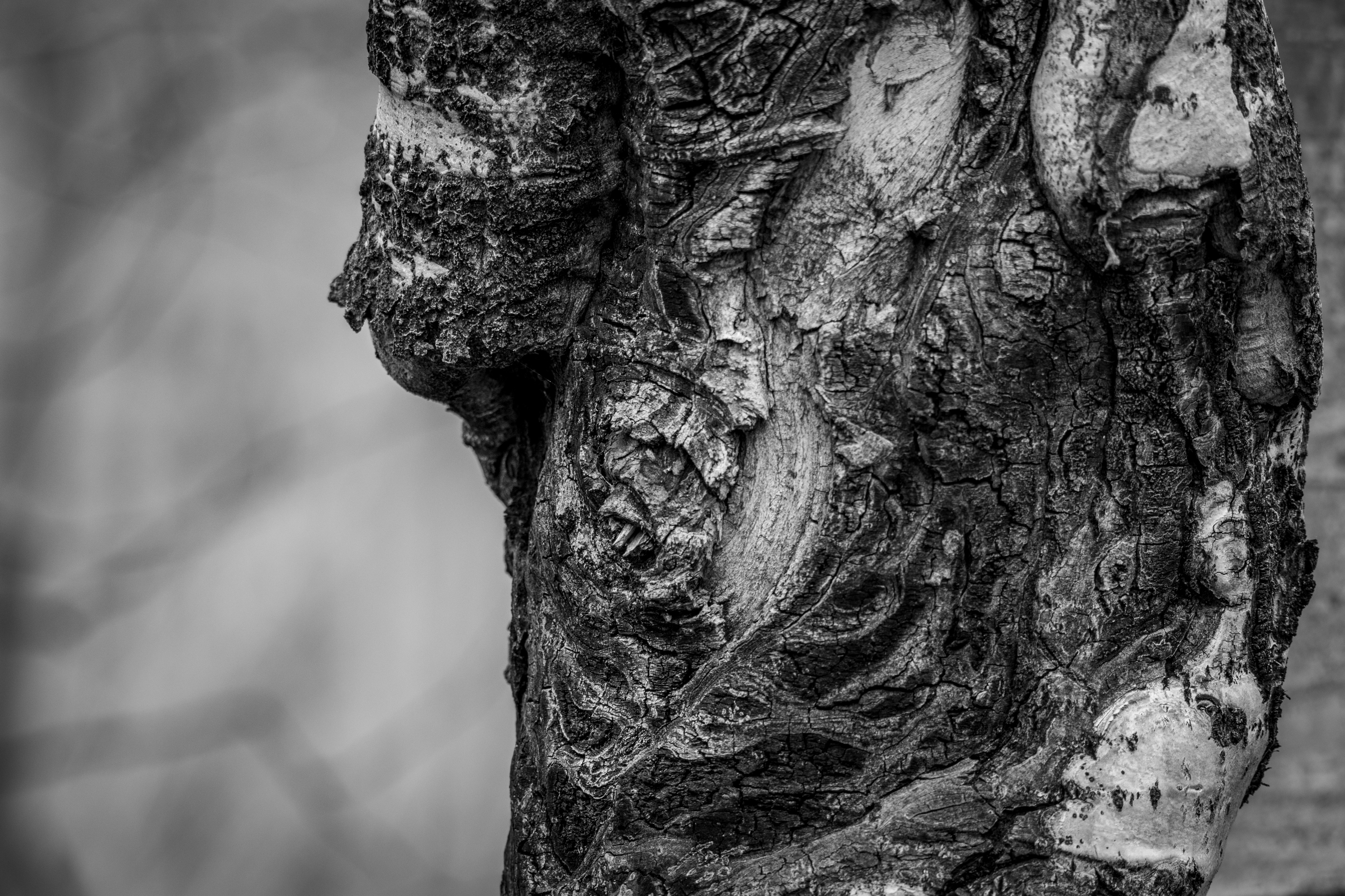 Photo by anthonymucci