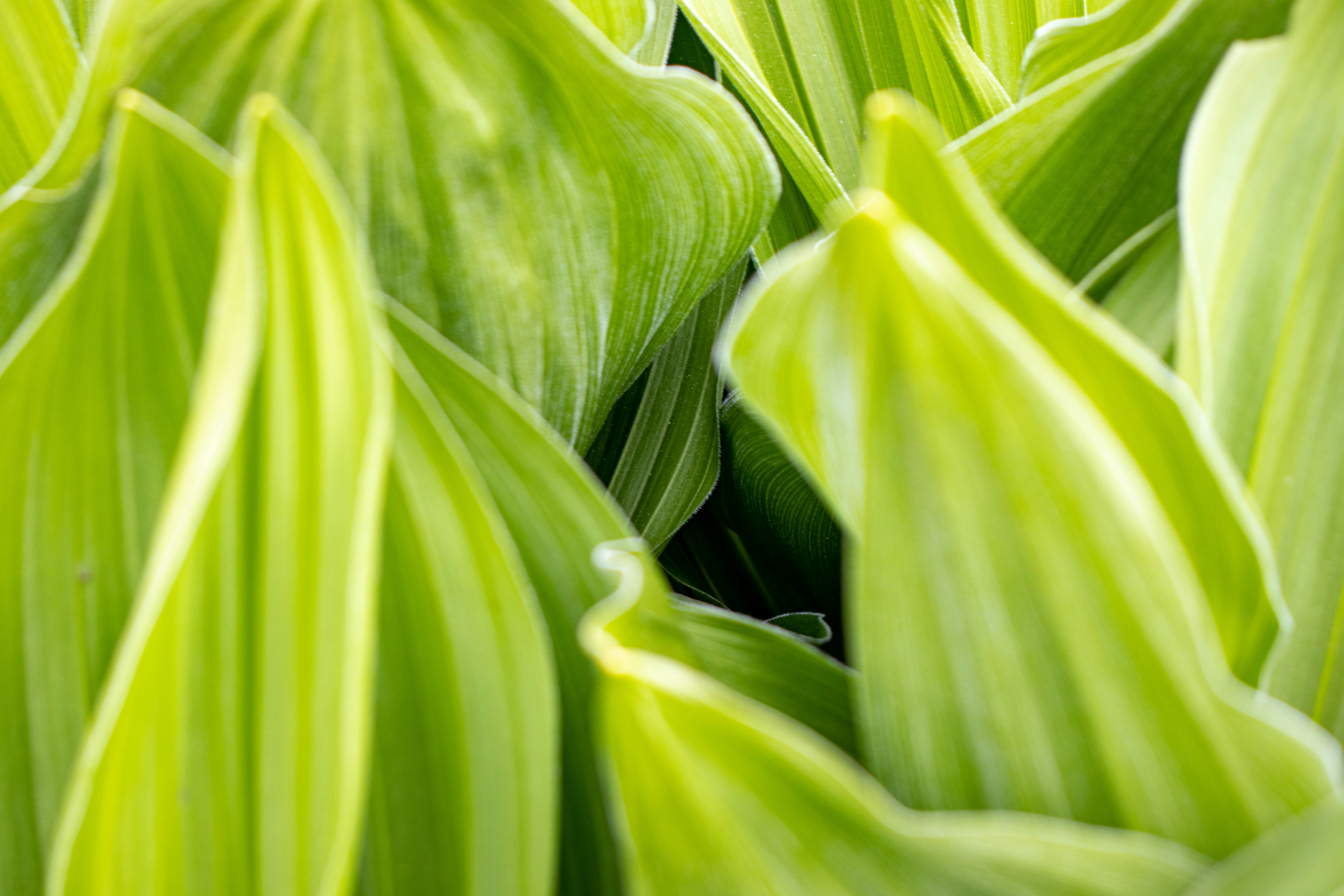 Photo by anthonymucci