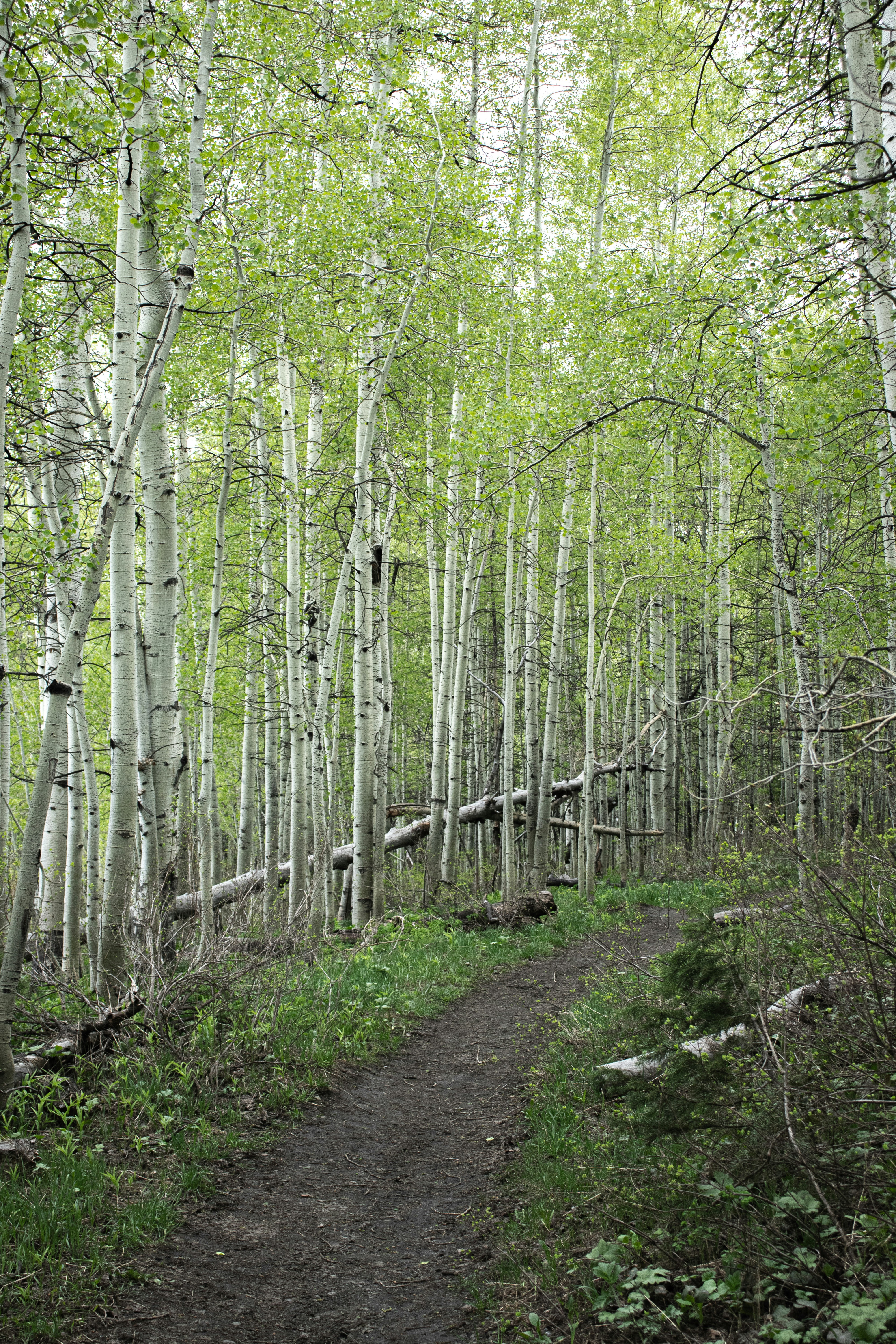 Photo by anthonymucci