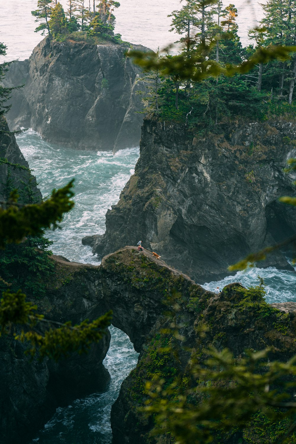 green moss on rocky mountain beside river during daytime