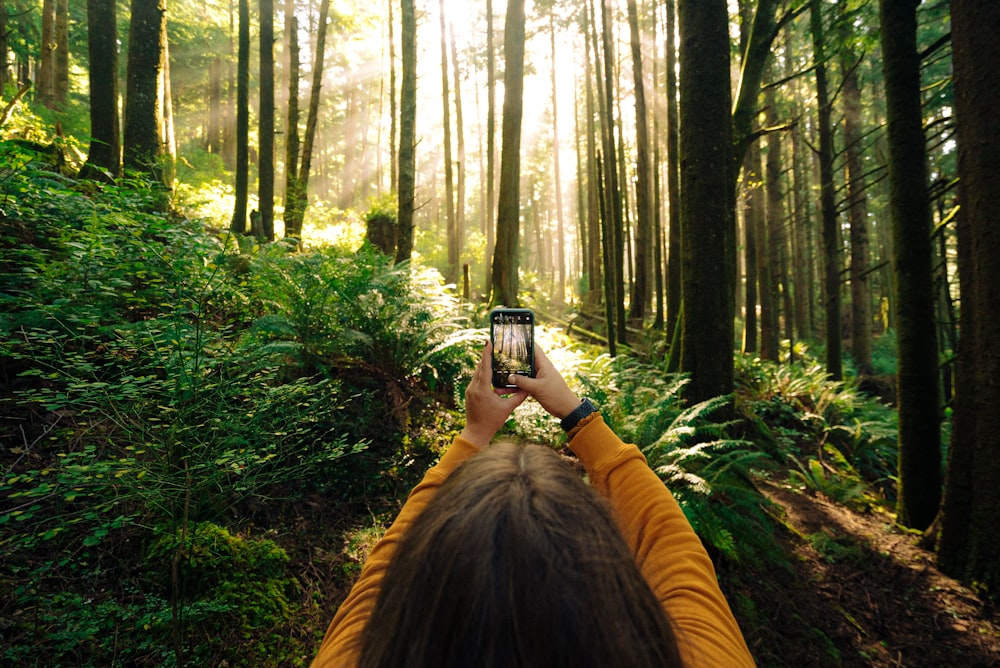 woman in yellow jacket taking photo of green trees during daytime