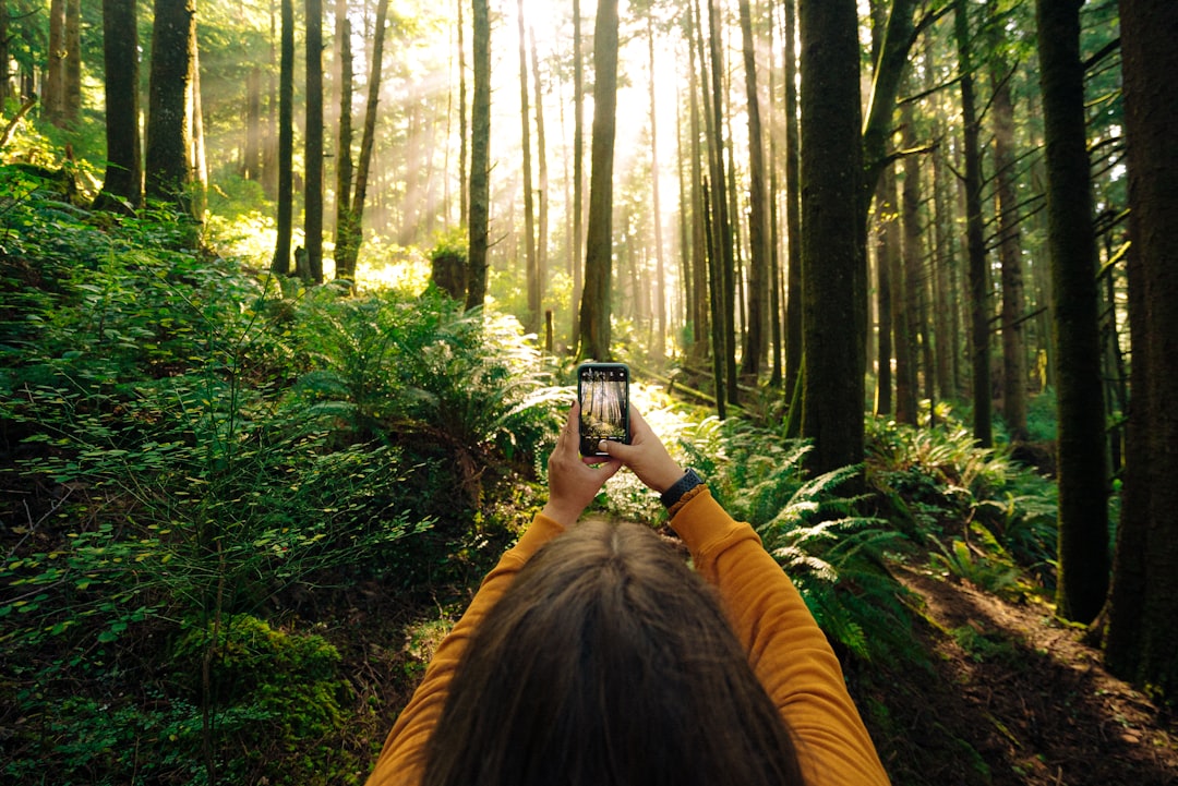 Exploring Scenic Rest Stops Along America's