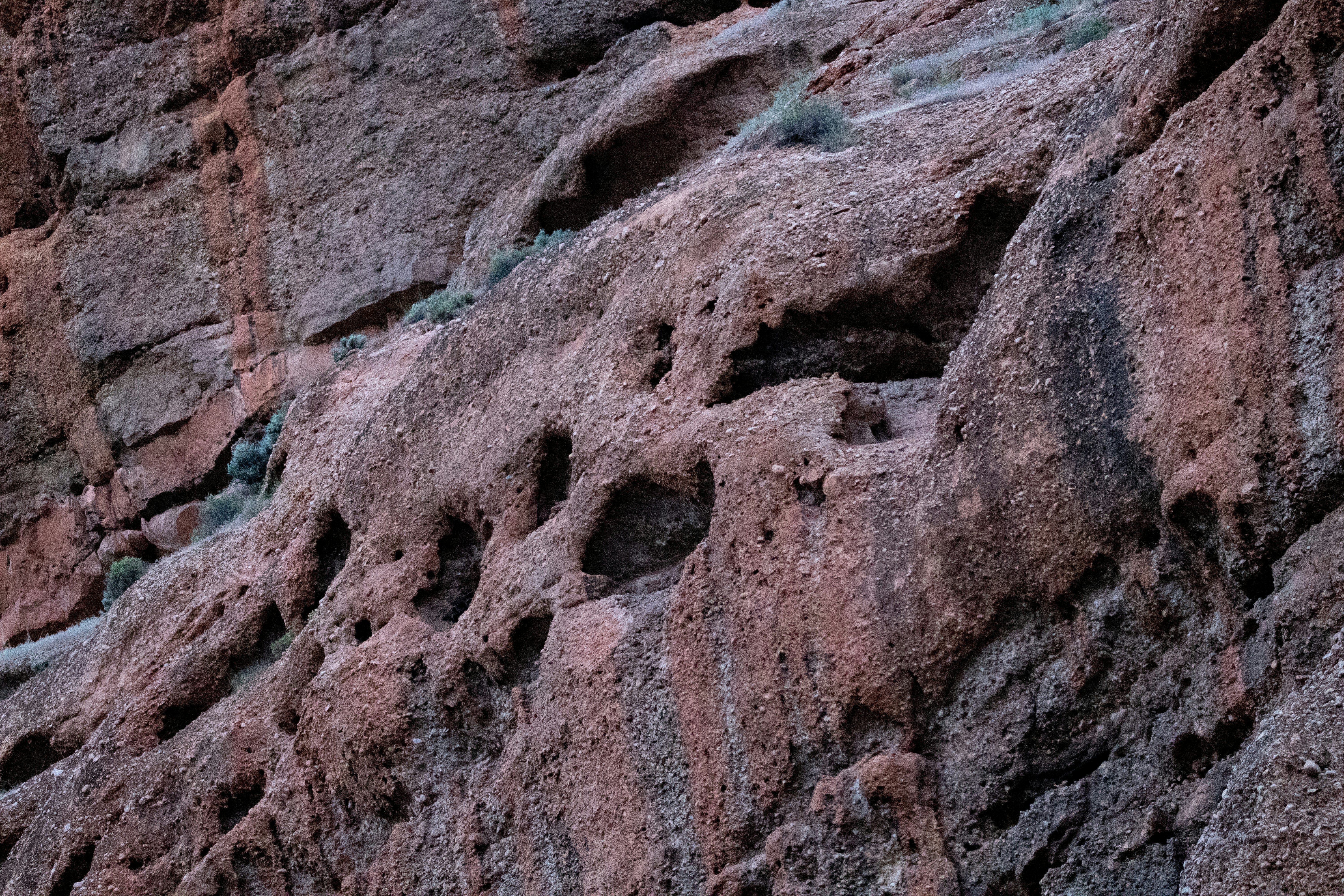 Photo by anthonymucci