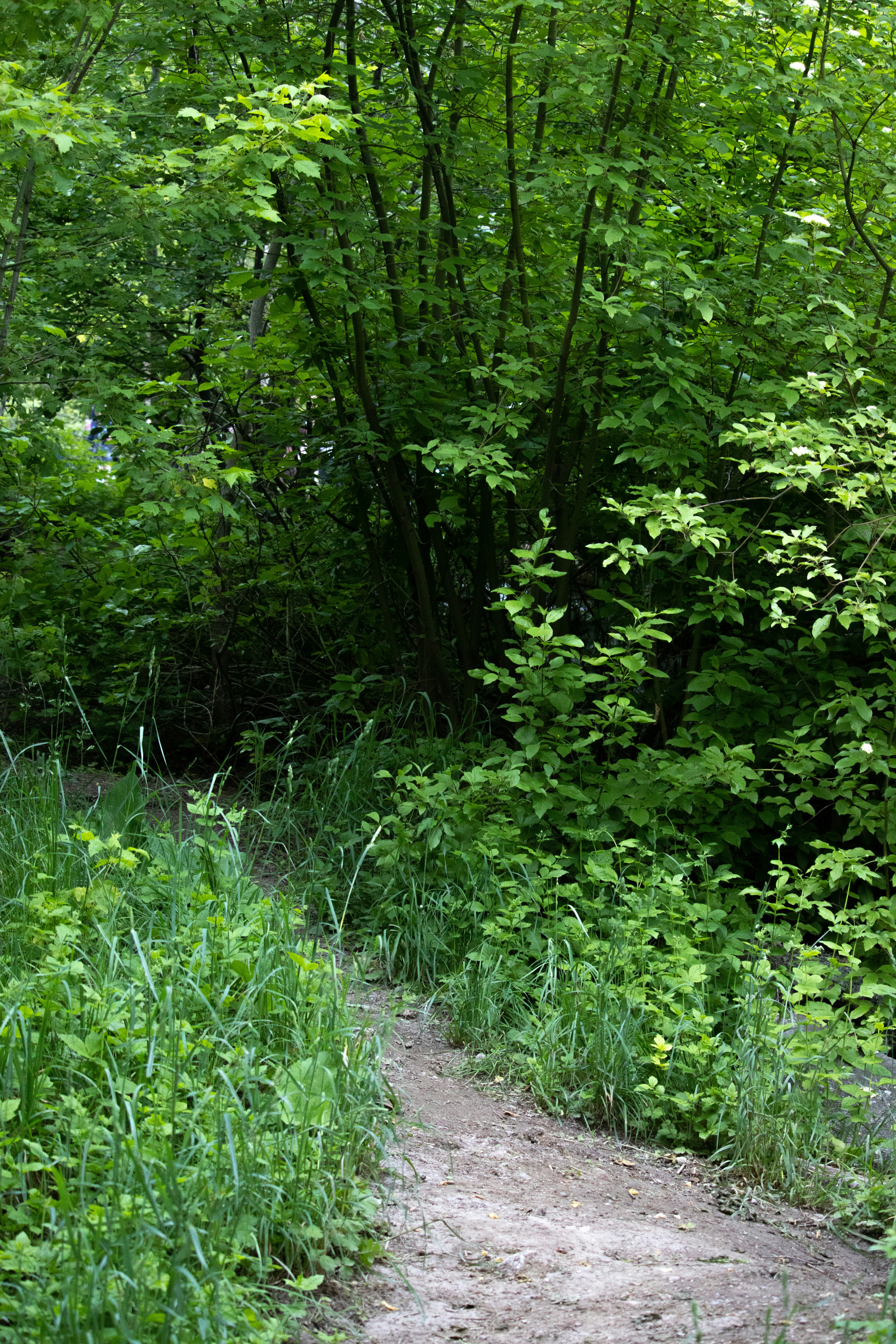 Photo by anthonymucci