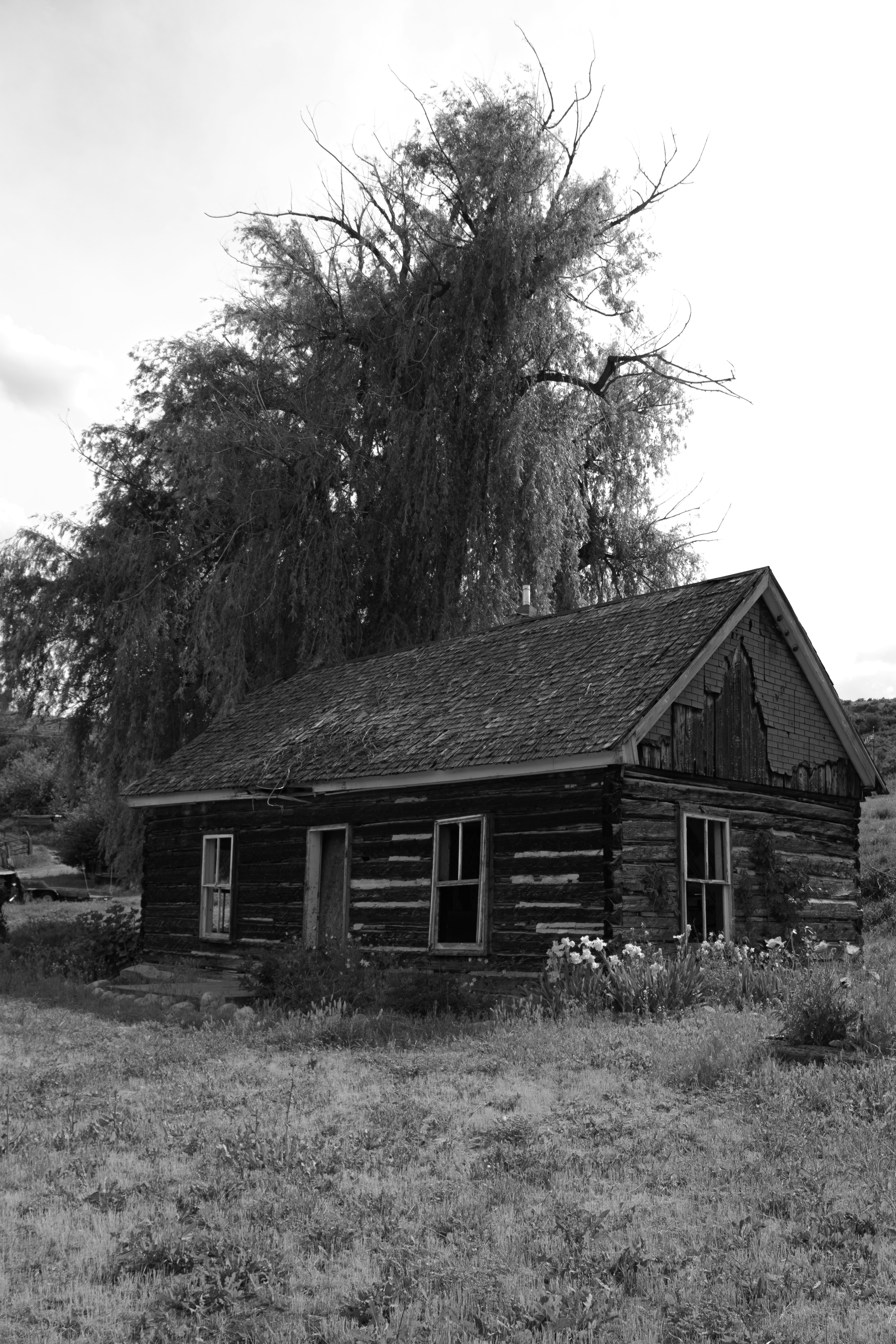 Photo by anthonymucci