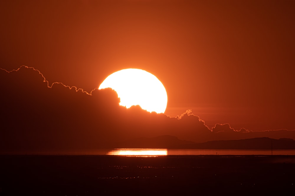 silhouette of bird flying over the sea during sunset