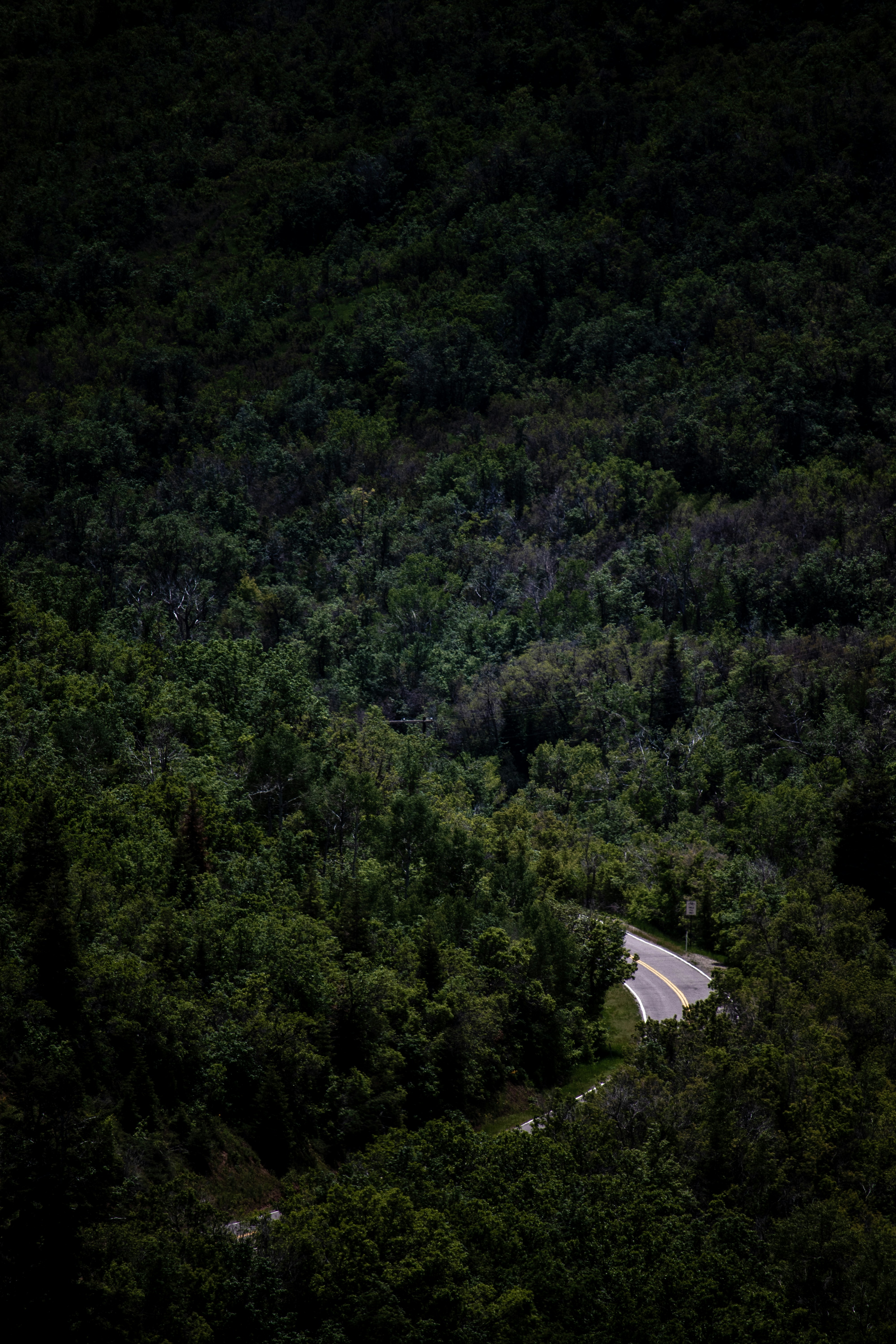 Photo by anthonymucci