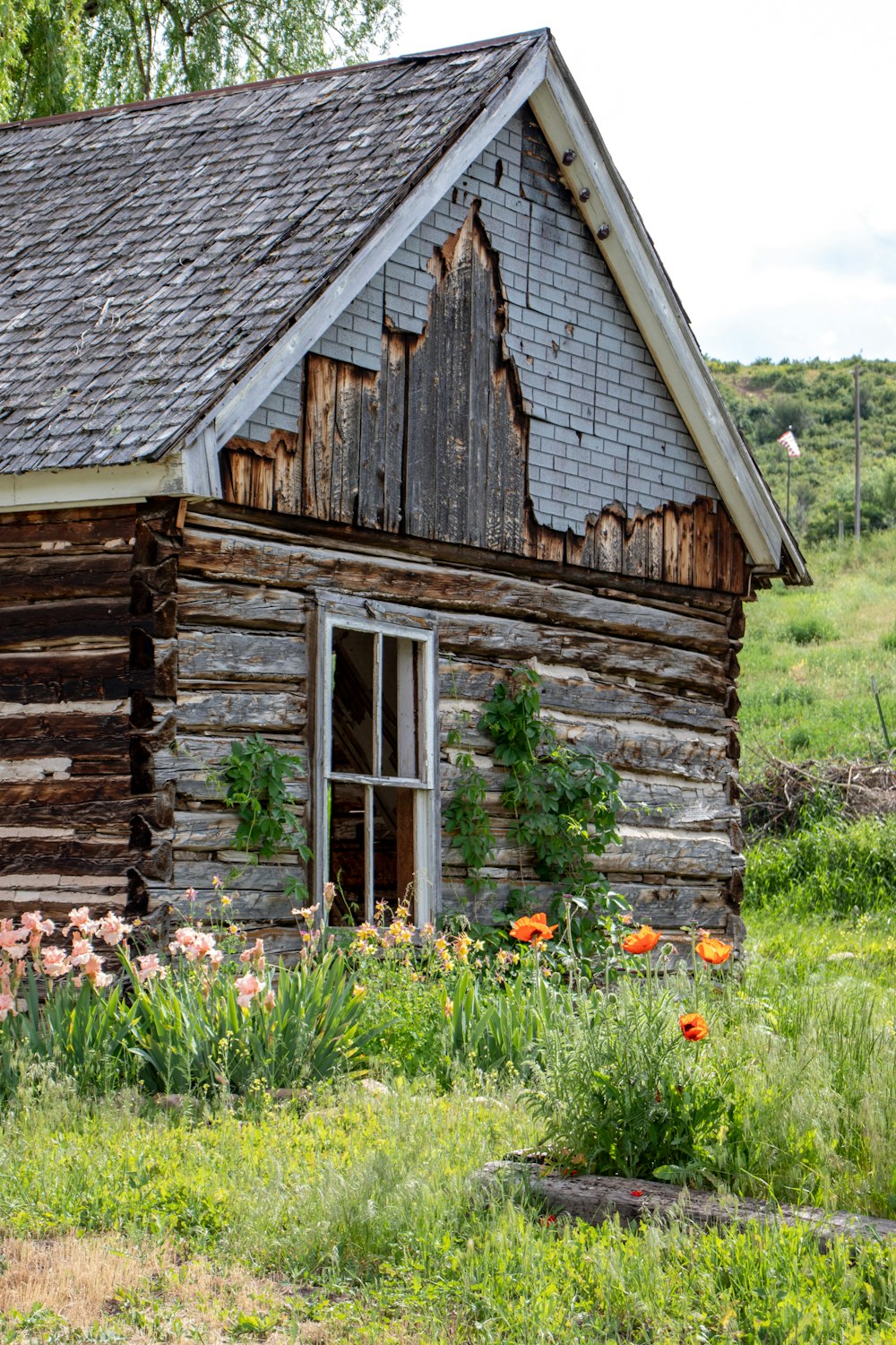 brown wooden house on green grass field during daytime