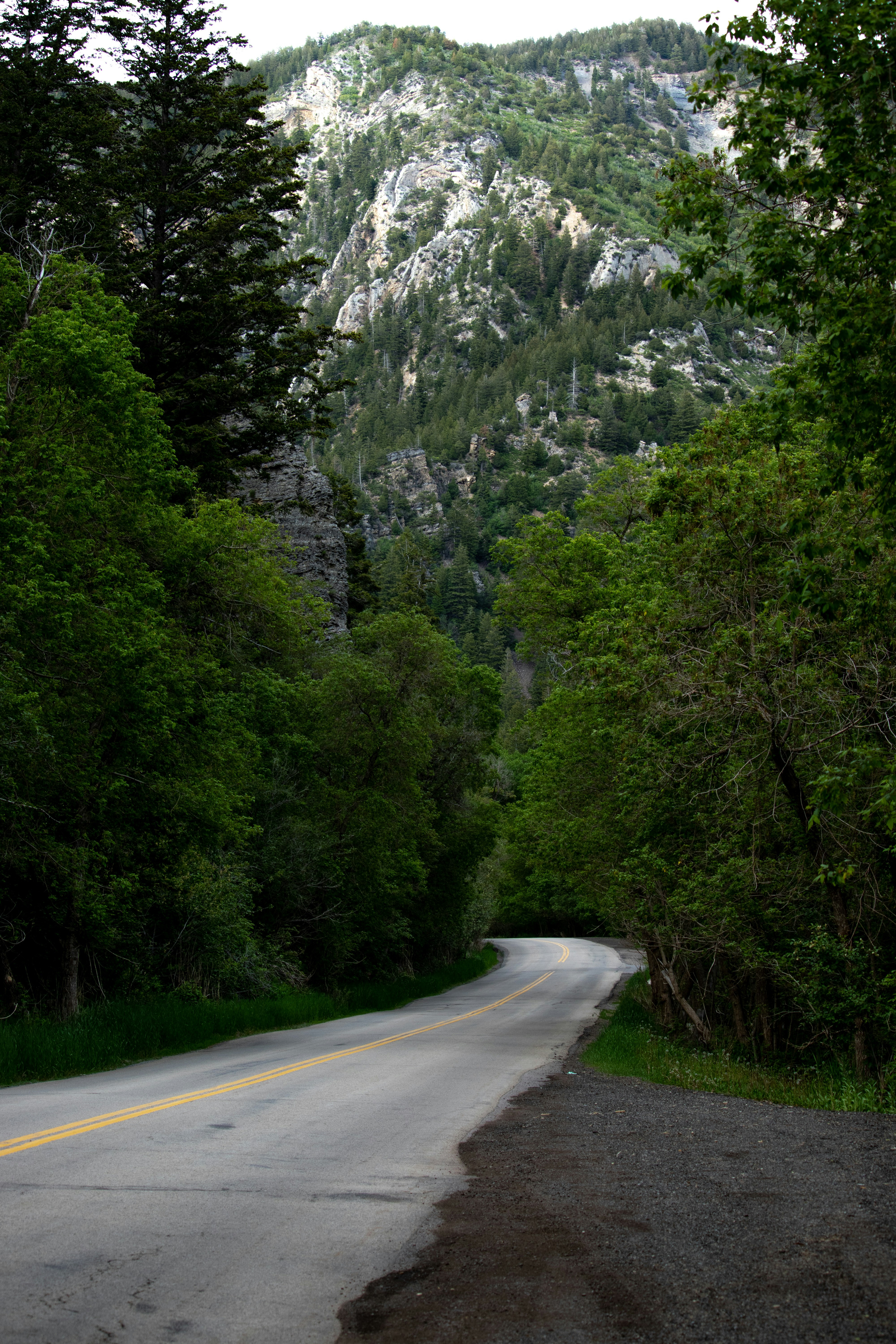 Photo by anthonymucci