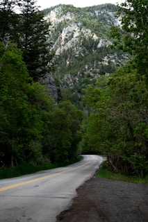 A winding road along the lush green forests of the Carretera Austral in Chile