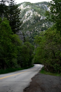 A winding road along the lush green forests of the Carretera Austral in Chile