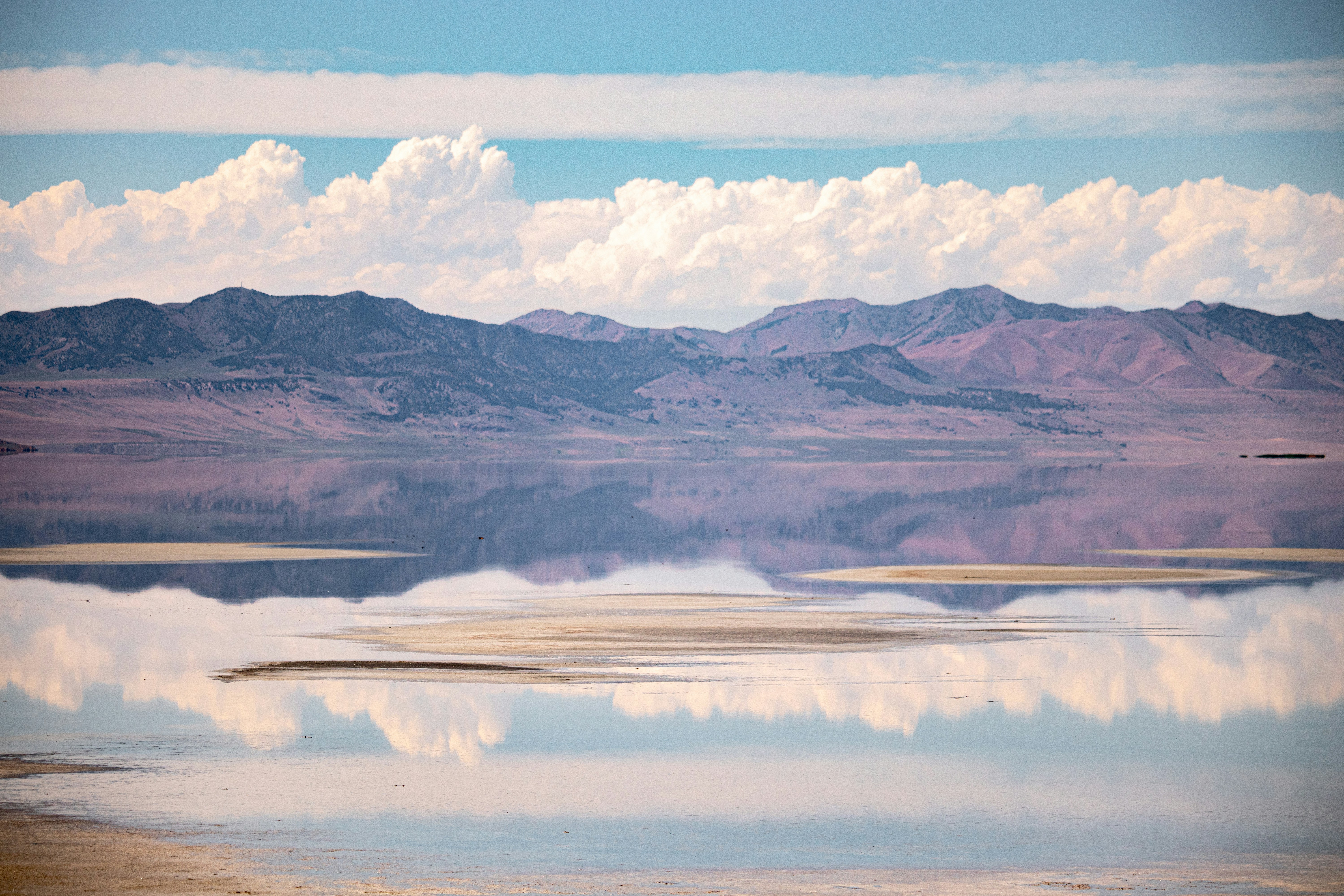 Photo by anthonymucci