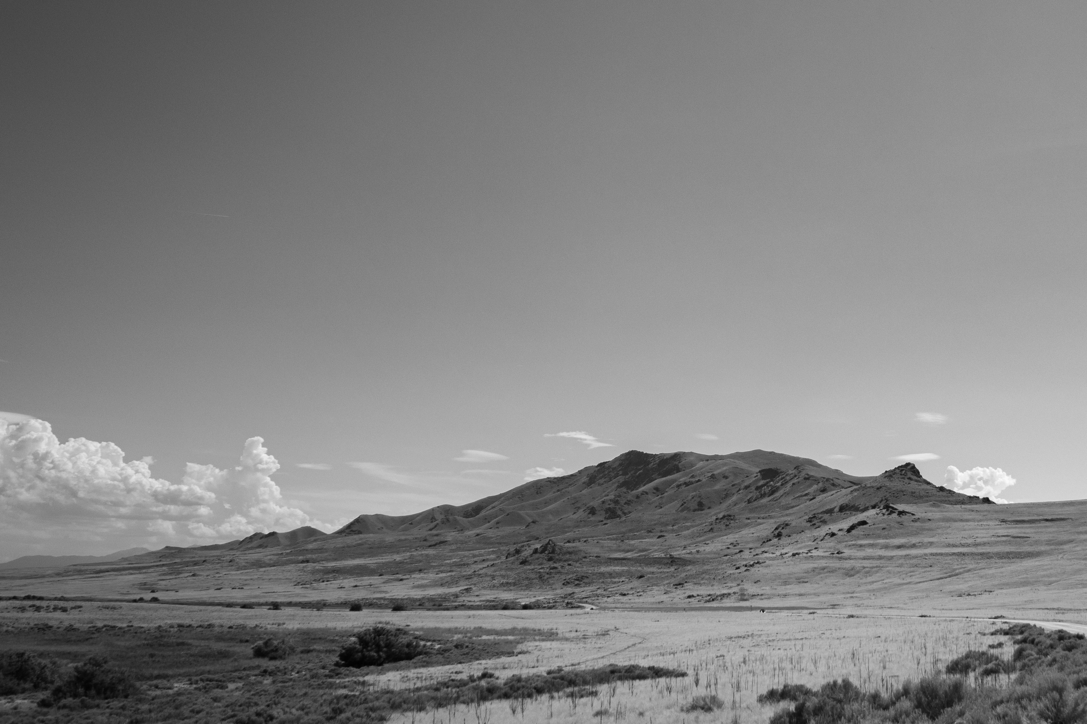 Photo by anthonymucci