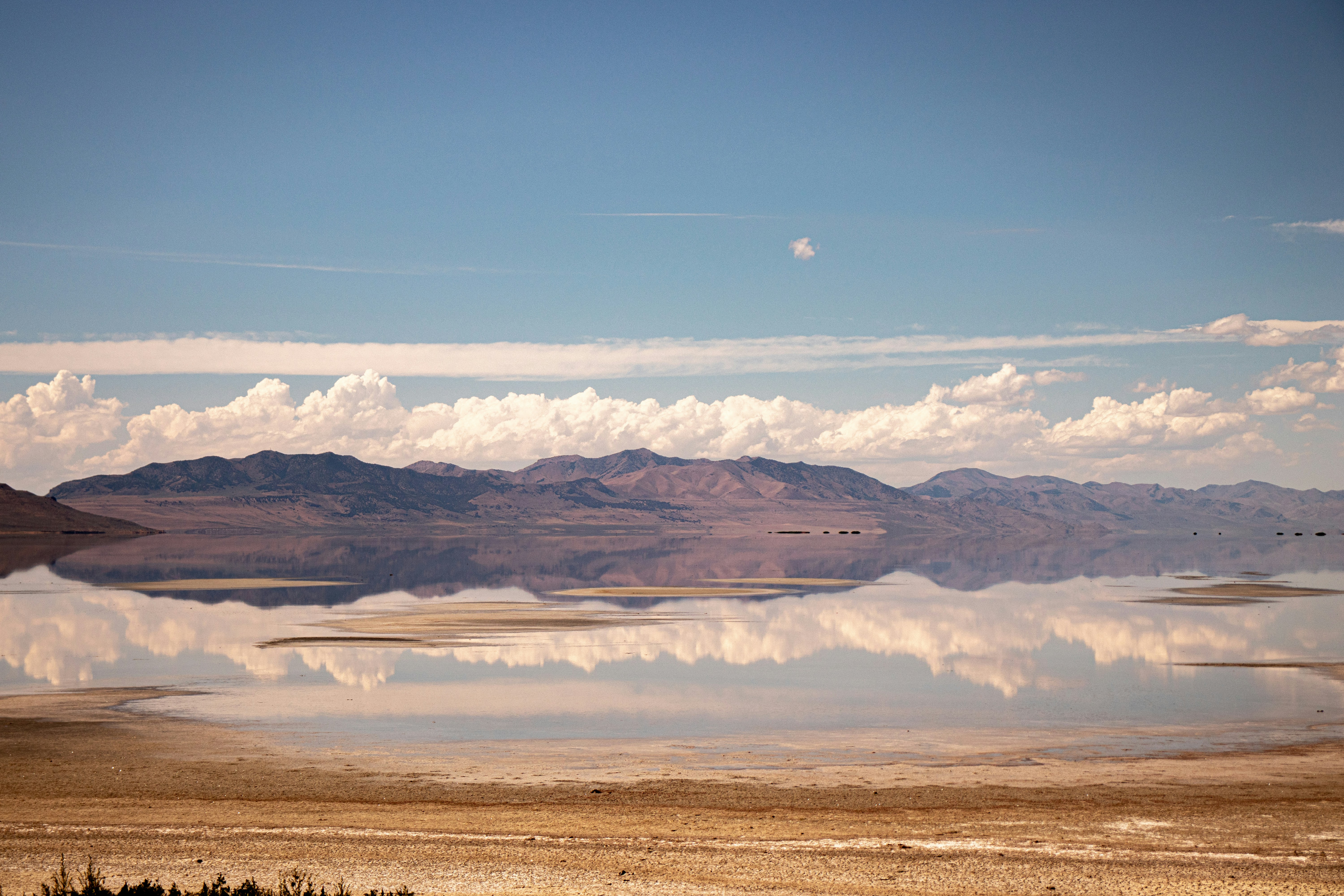 Photo by anthonymucci