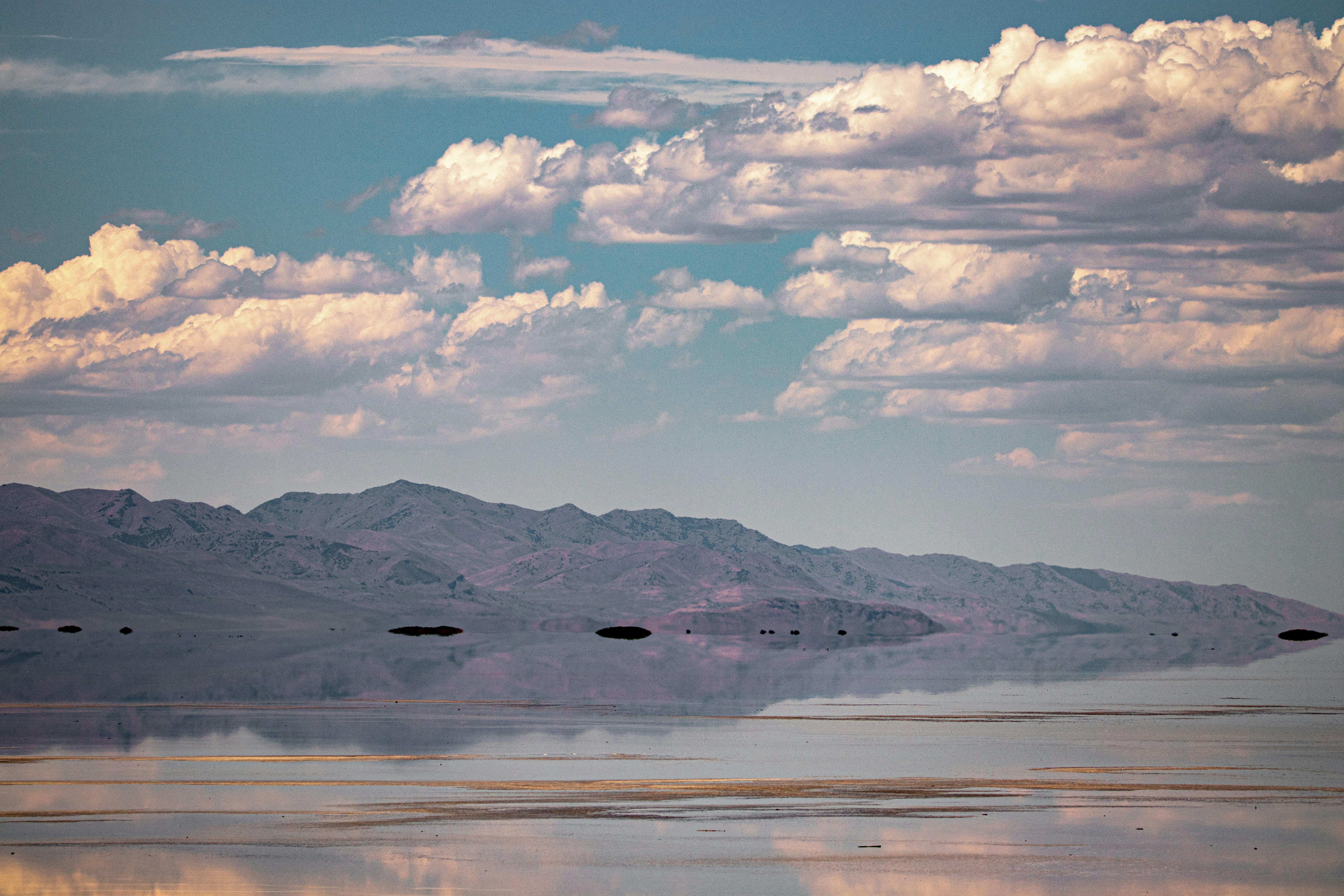 Photo by anthonymucci