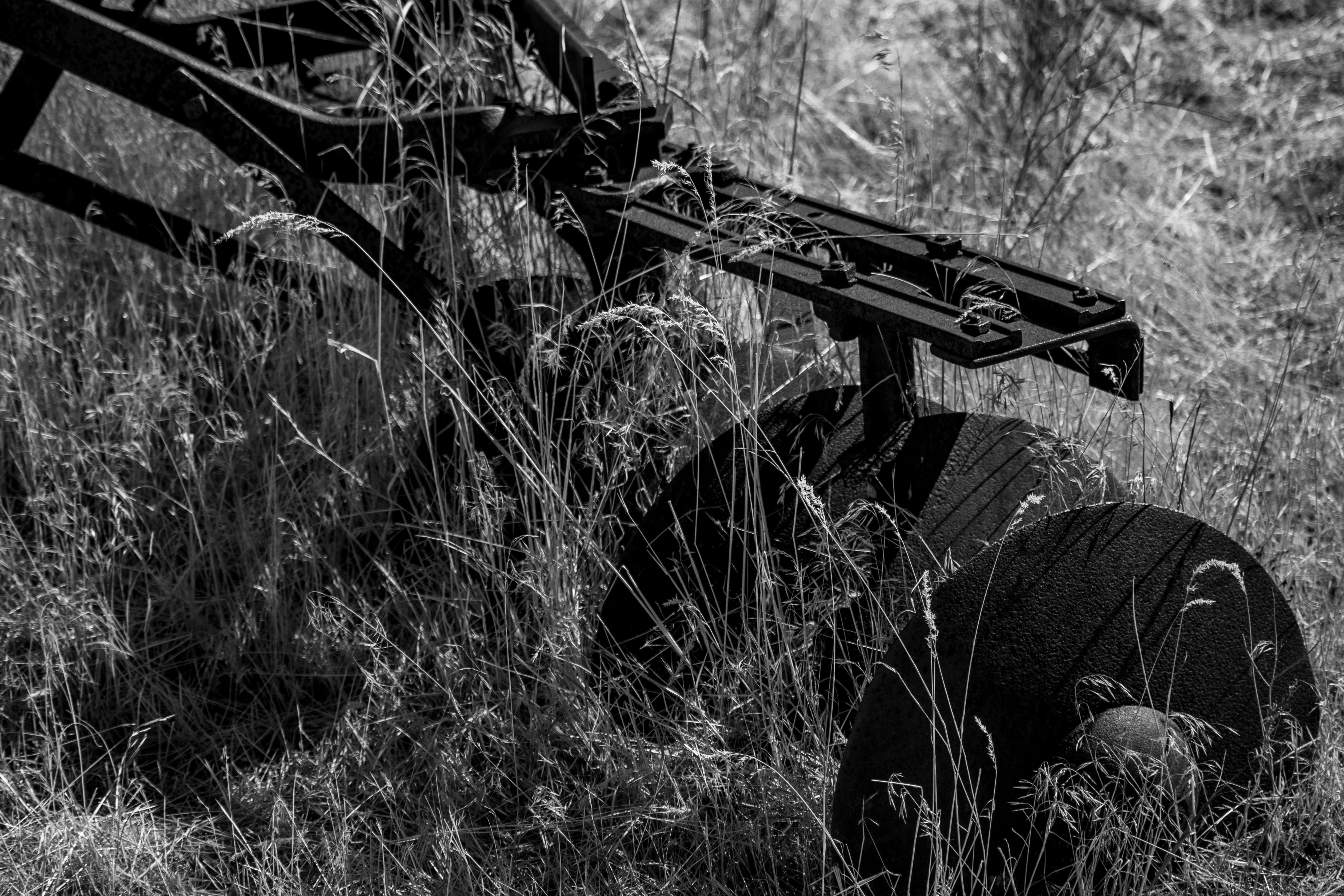 Photo by anthonymucci