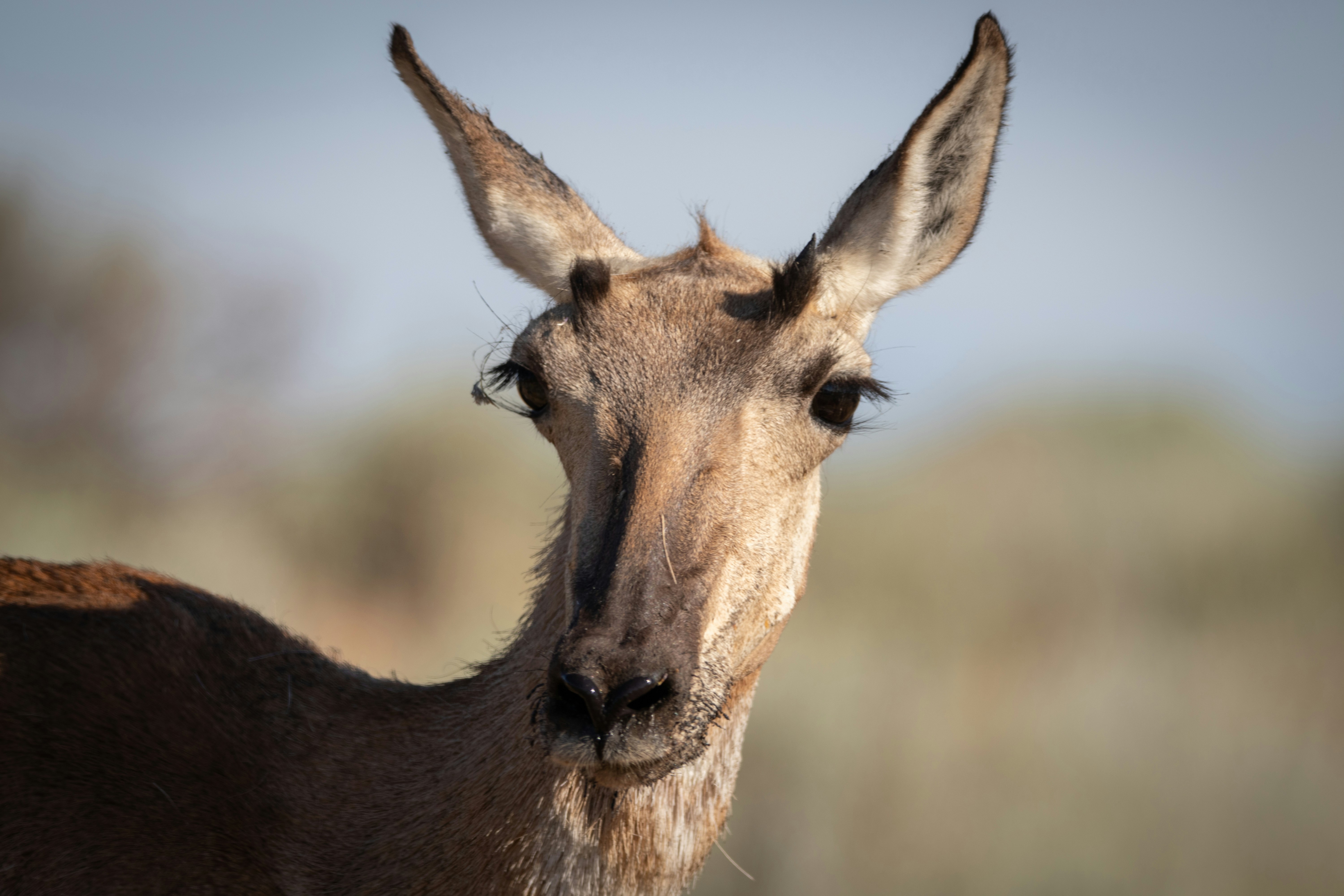 Photo by anthonymucci