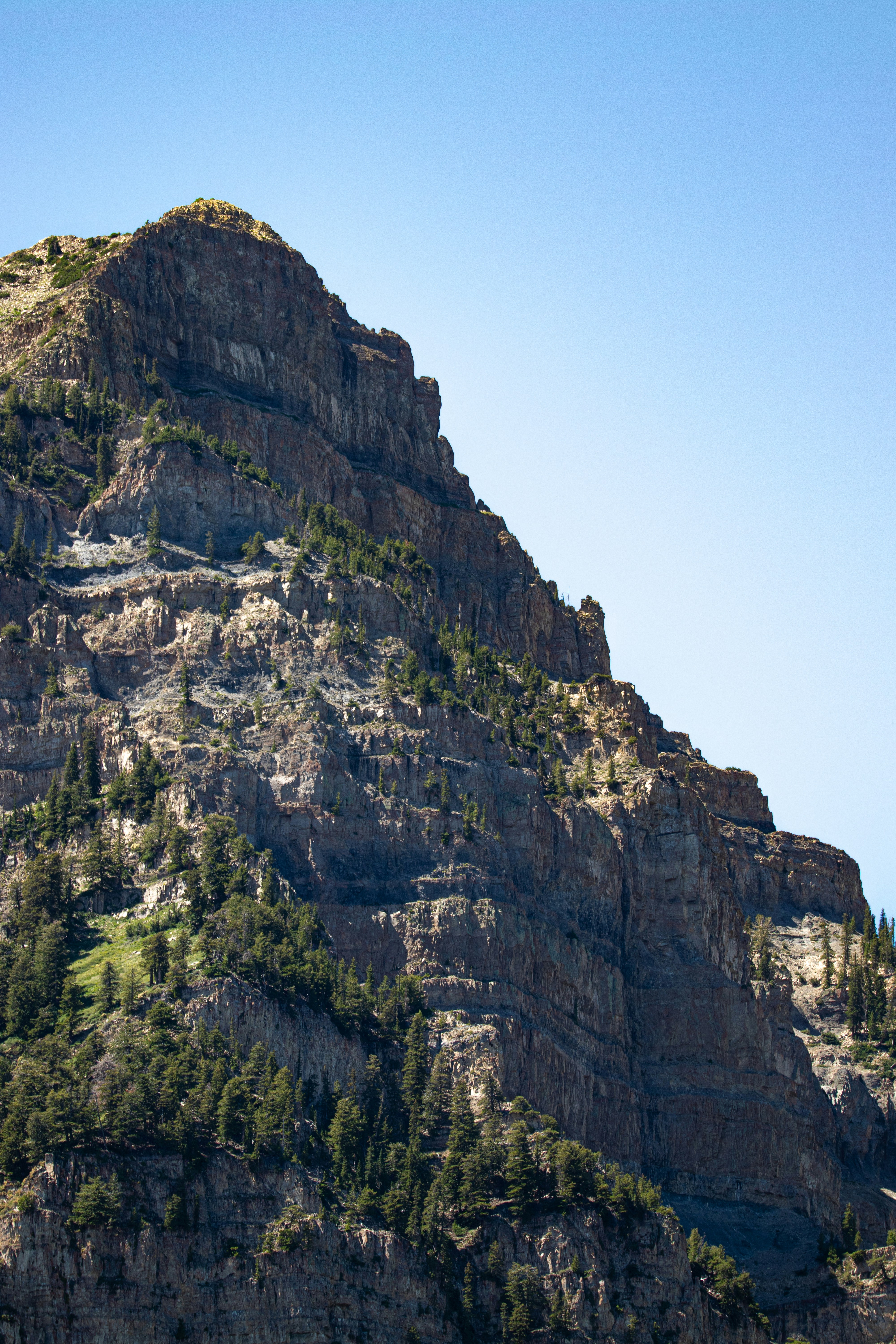 Photo by anthonymucci