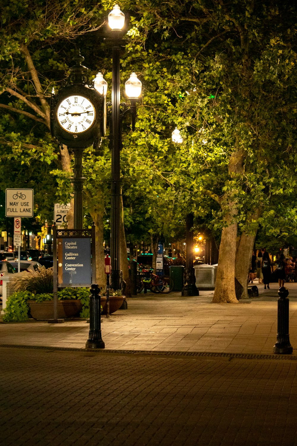 black street light near green trees during night time