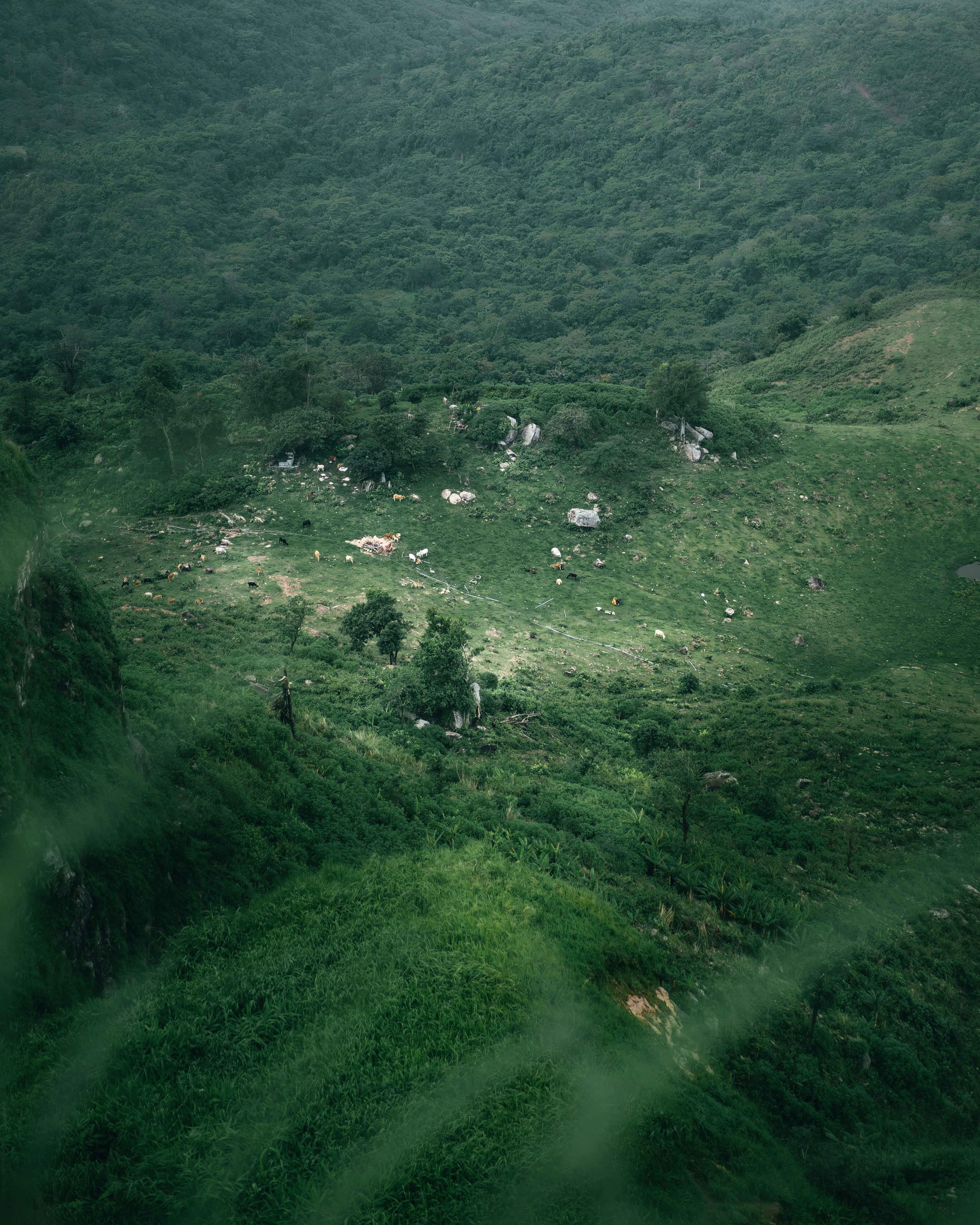 Photo by pongsawat